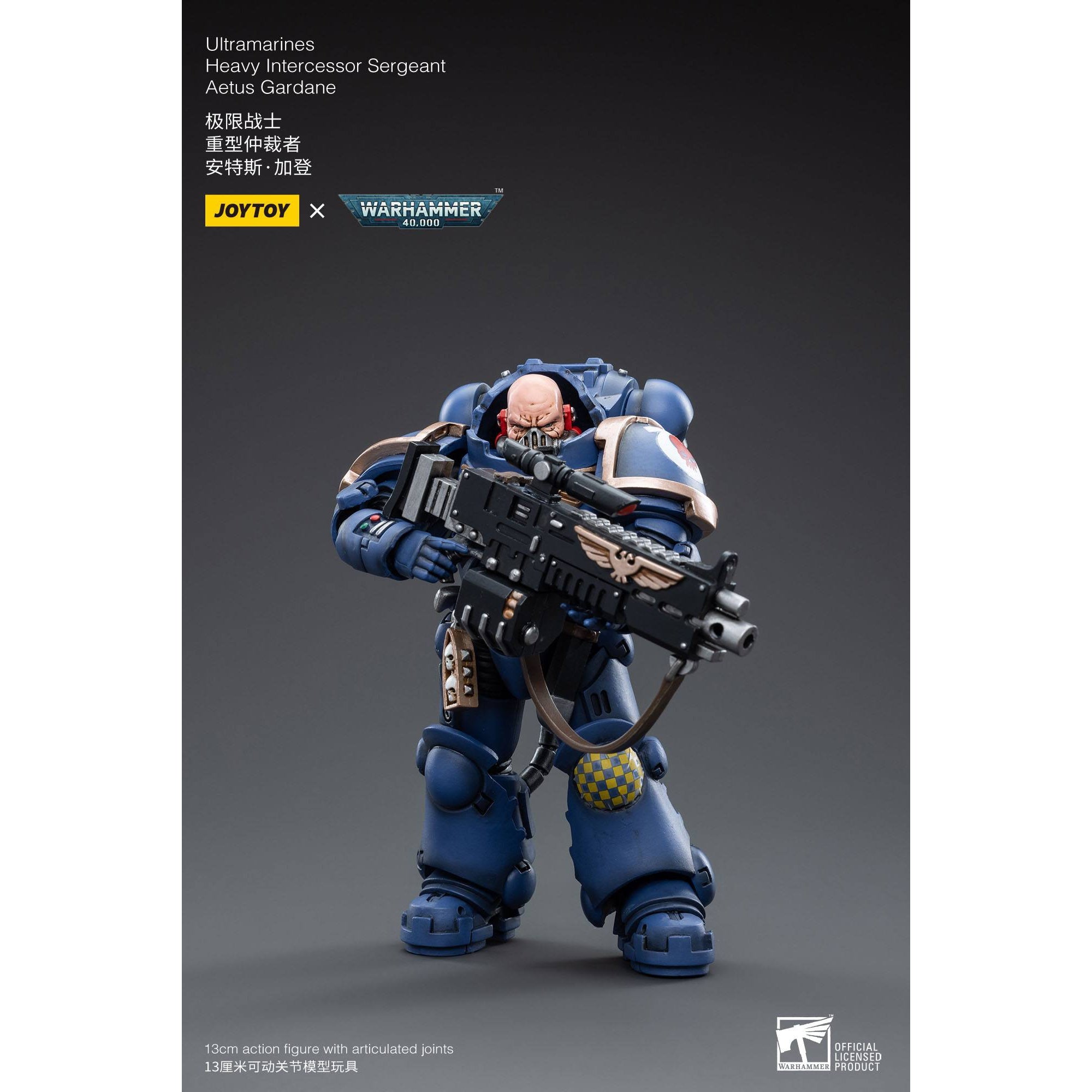 Warhammer 40k: Ultramarines Heavy Intercessor Sergeant Aetus Gardane - 12 cm-Actionfiguren-JoyToy-Mighty Underground