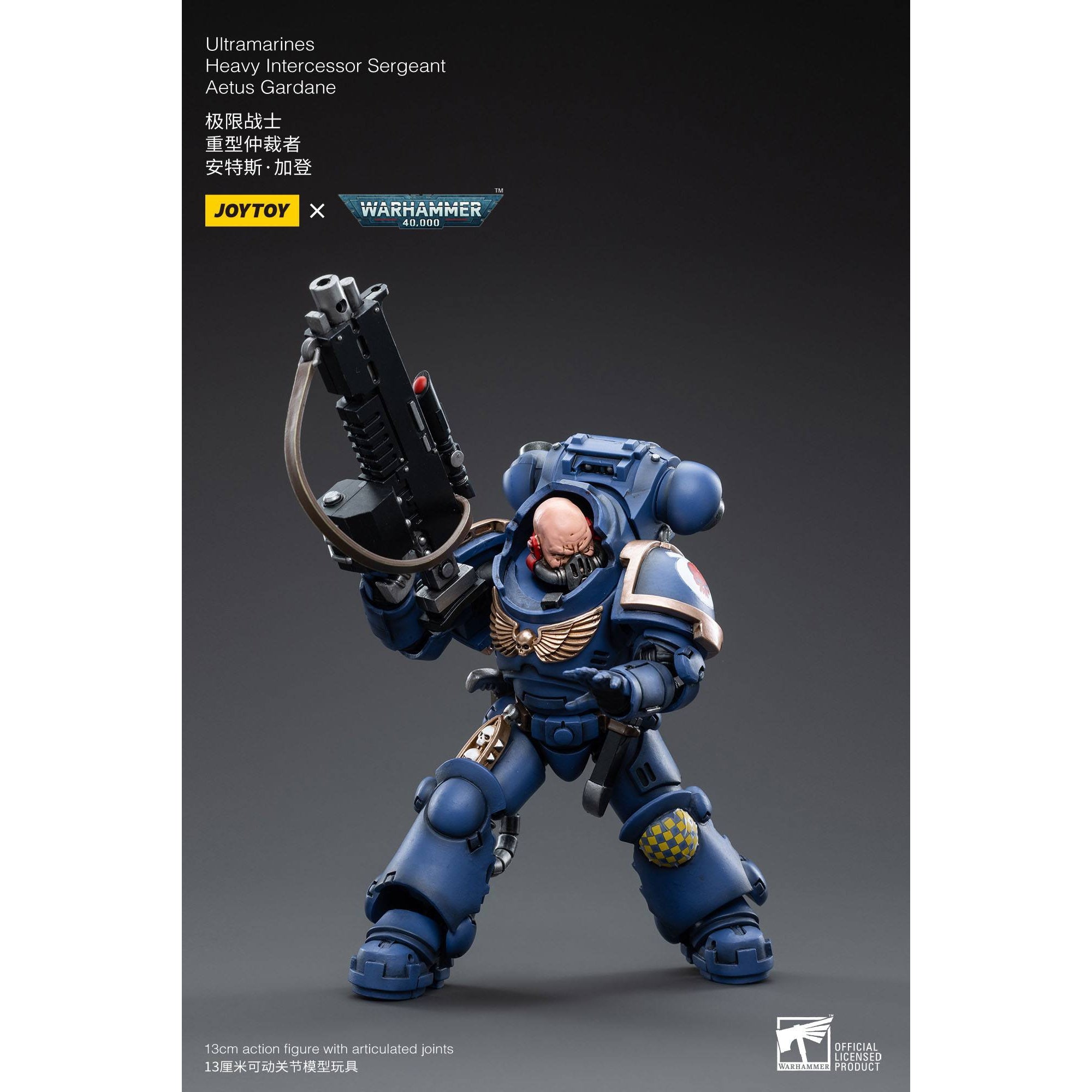 Warhammer 40k: Ultramarines Heavy Intercessor Sergeant Aetus Gardane - 12 cm-Actionfiguren-JoyToy-Mighty Underground