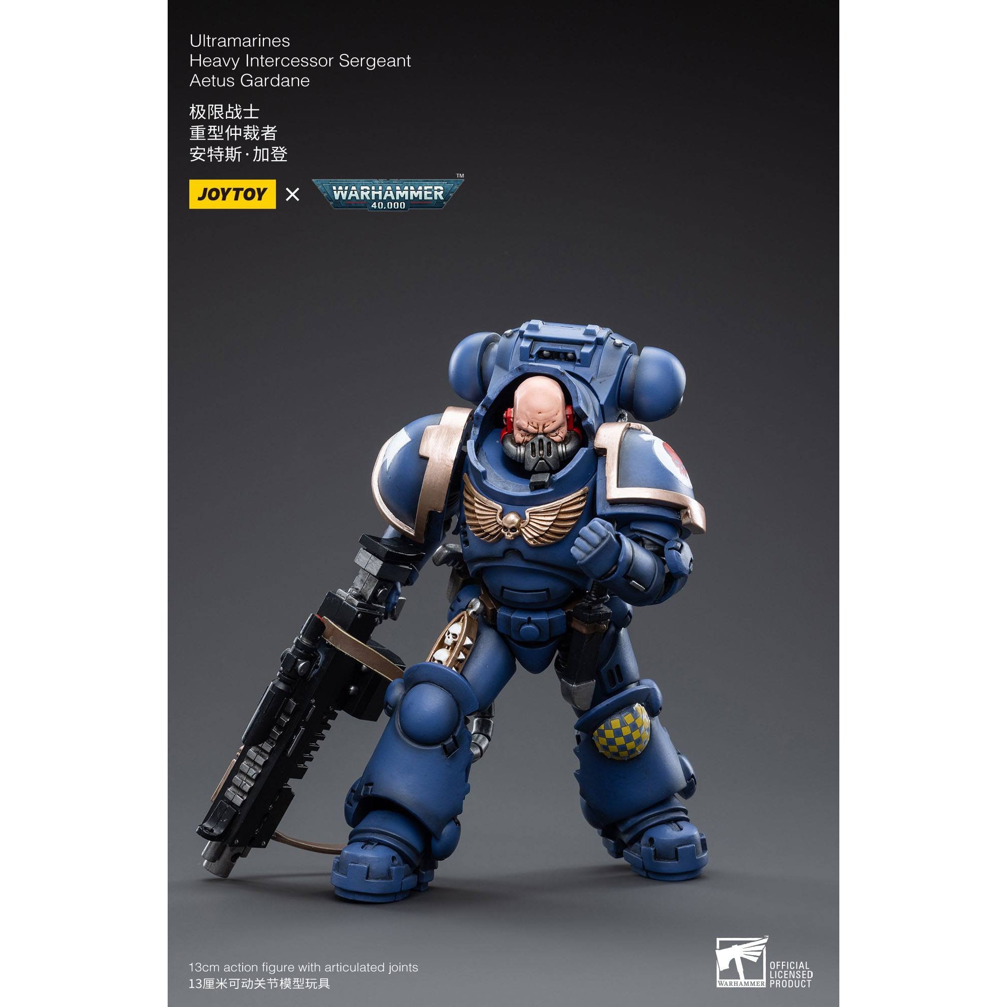 Warhammer 40k: Ultramarines Heavy Intercessor Sergeant Aetus Gardane - 12 cm-Actionfiguren-JoyToy-Mighty Underground