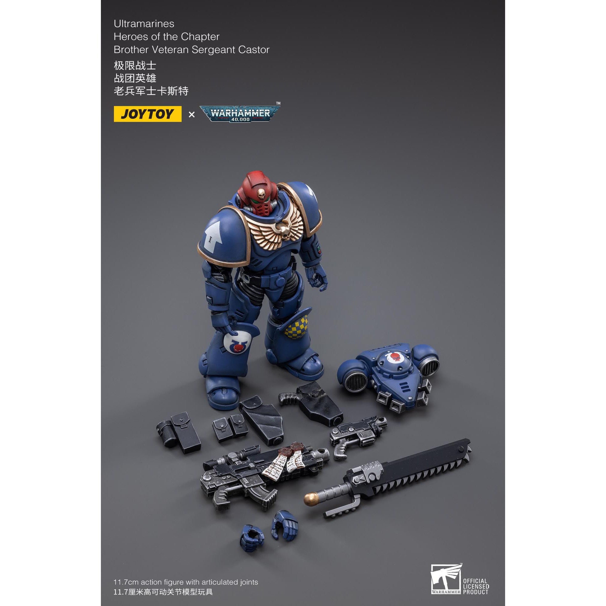 Warhammer 40k: Ultramarines Heroes of the Chapter Brother Veteran Sergeant Castor - 12 cm-Actionfiguren-JoyToy-Mighty Underground