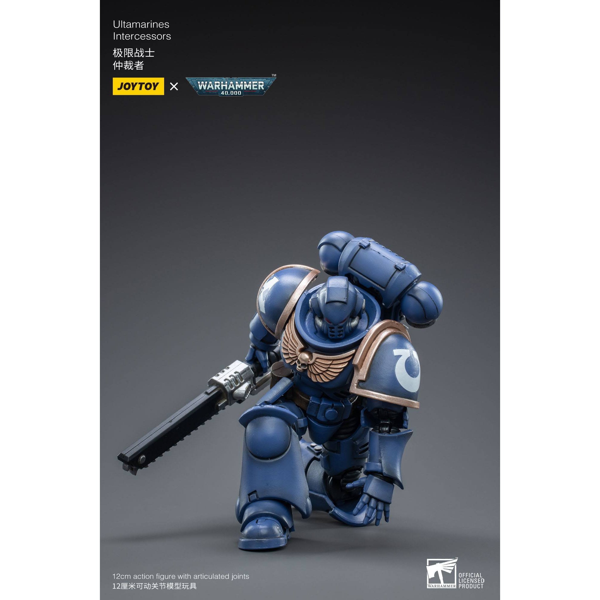 Warhammer 40k: Ultramarines Intercessors - 12 cm-Actionfiguren-JoyToy-Mighty Underground