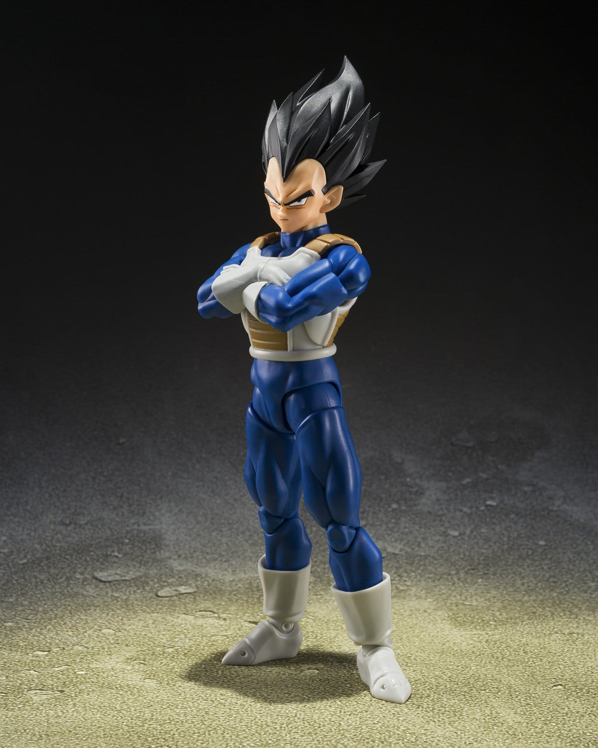 Dragon Ball Z: Vegeta (Z-Fighters)