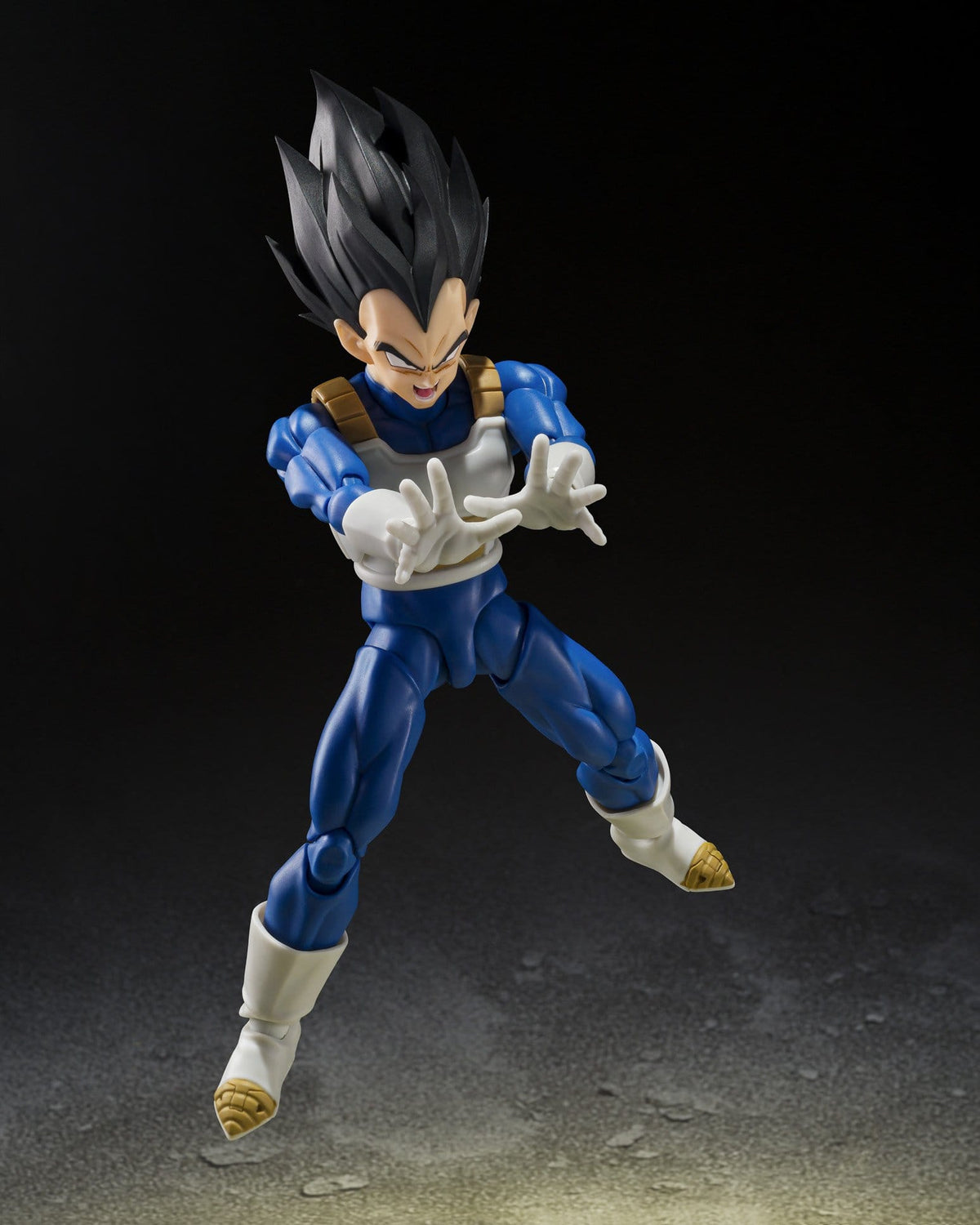 Dragon Ball Z: Vegeta (Z-Fighters)