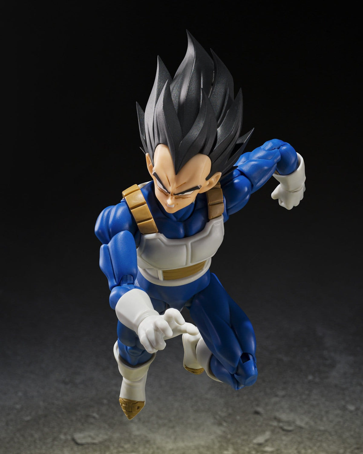 Dragon Ball Z: Vegeta (Z-Fighters)