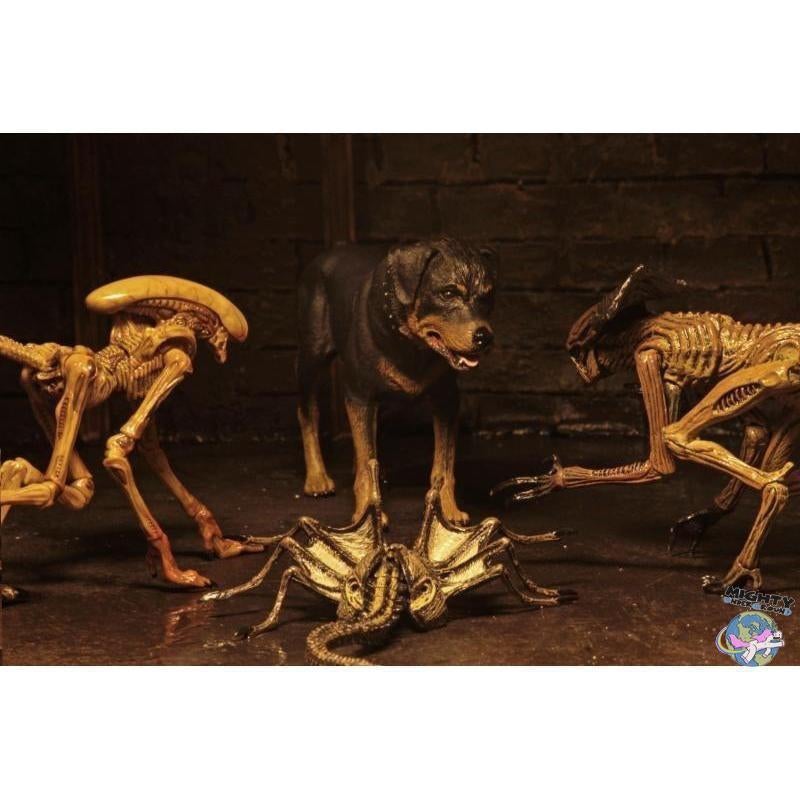 Alien 3: Creature Accessory Pack-Actionfiguren-NECA-mighty-underground