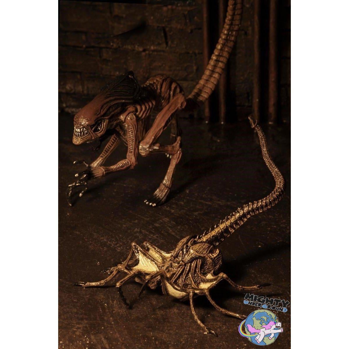 Alien 3: Creature Accessory Pack-Actionfiguren-NECA-mighty-underground