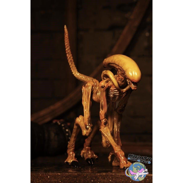 Alien 3: Creature Accessory Pack-Actionfiguren-NECA-mighty-underground