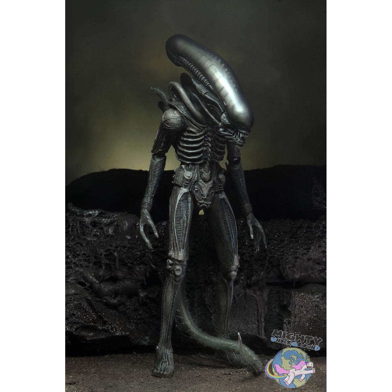Alien: Alien (w Facehugger) (40th Anniversary) VORBESTELLUNG!-Actionfiguren-NECA-Mighty Underground