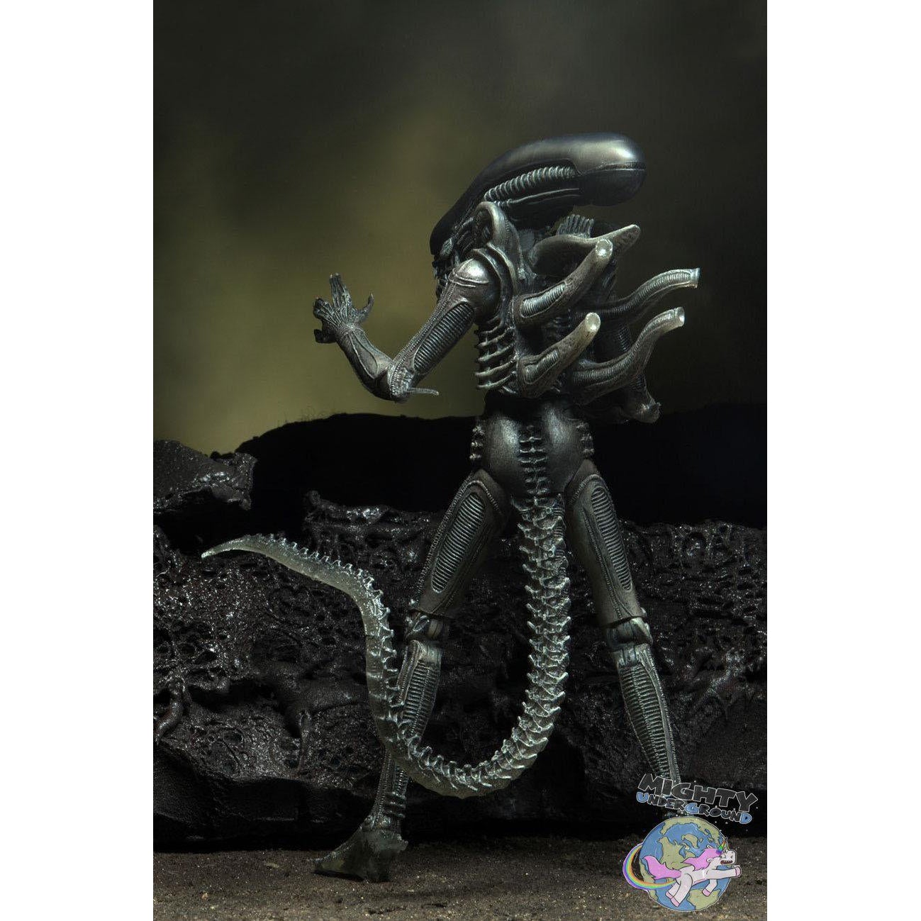Alien: Alien (w Facehugger) (40th Anniversary) VORBESTELLUNG!-Actionfiguren-NECA-Mighty Underground