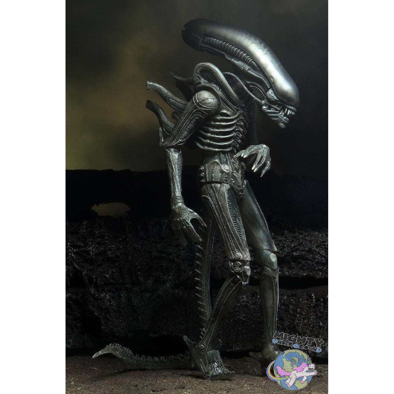 Alien: Alien (w Facehugger) (40th Anniversary) VORBESTELLUNG!-Actionfiguren-NECA-Mighty Underground