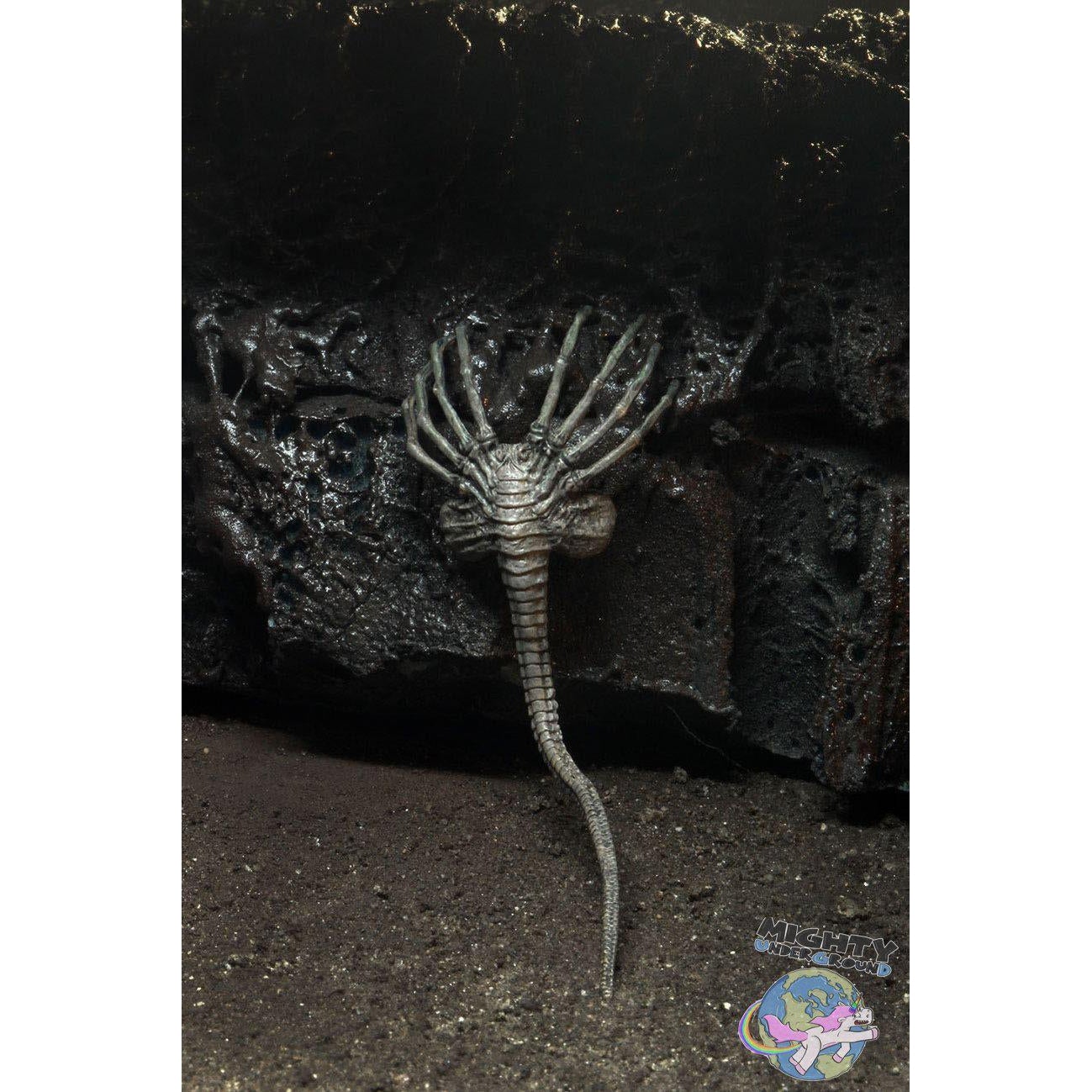 Alien: Alien (w Facehugger) (40th Anniversary) VORBESTELLUNG!-Actionfiguren-NECA-Mighty Underground