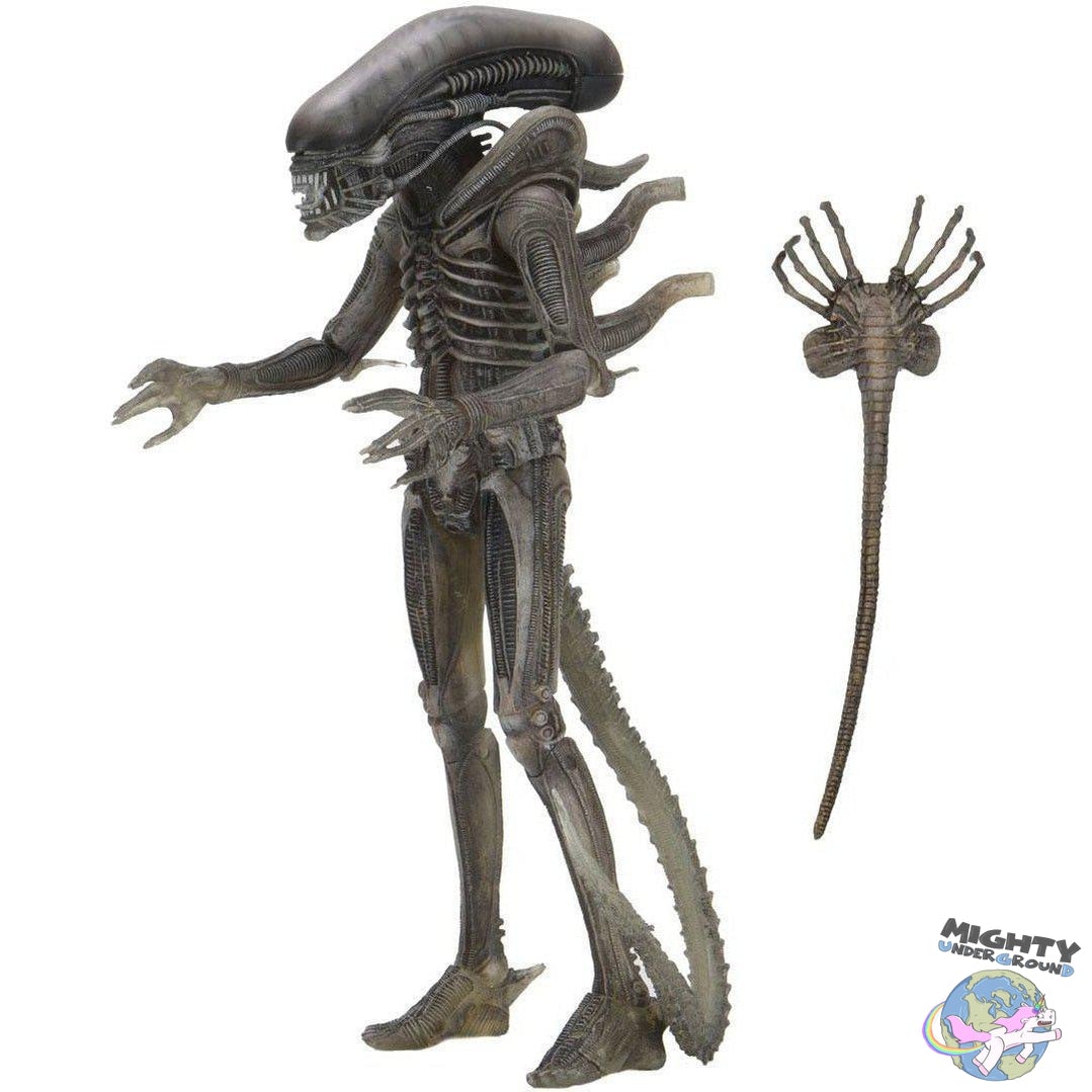 Alien: Alien (w Facehugger) (40th Anniversary) VORBESTELLUNG!-Actionfiguren-NECA-Mighty Underground