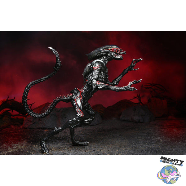 Aliens: Ultimate Night Cougar-Actionfiguren-NECA-Mighty Underground