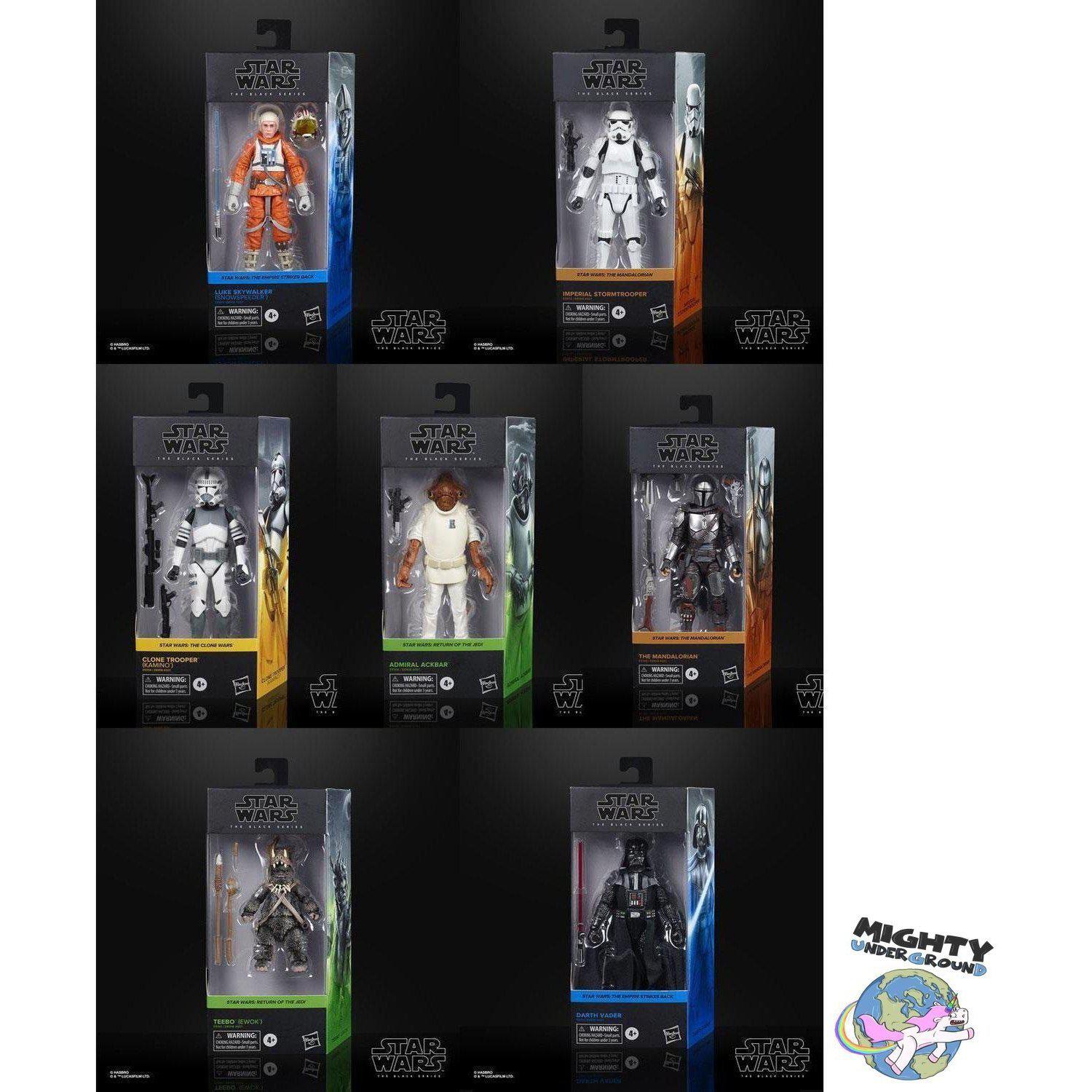 Star Wars Black Series: 2020 Wave 3-Actionfiguren-Hasbro-mighty-underground