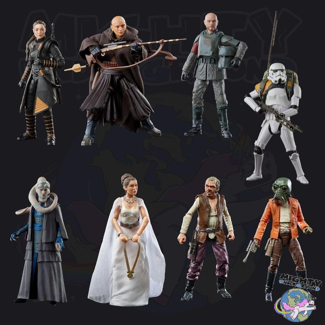 Star Wars Black Series: 2022 Wave 1 Sortiment (8)-Actionfiguren-Hasbro-Mighty Underground