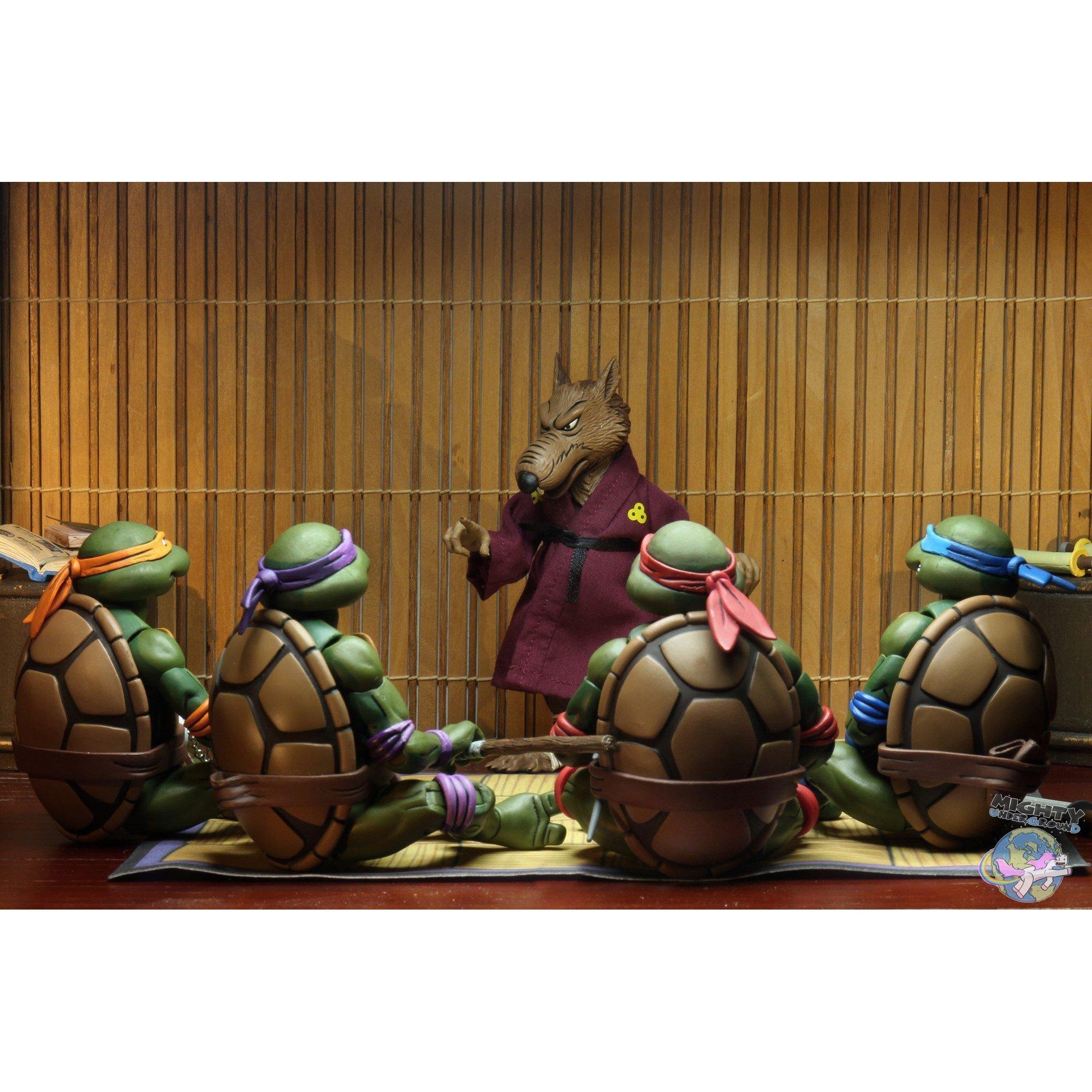 TMNT: Splinter & Baxter 2-Pack-Actionfiguren-NECA-Mighty Underground