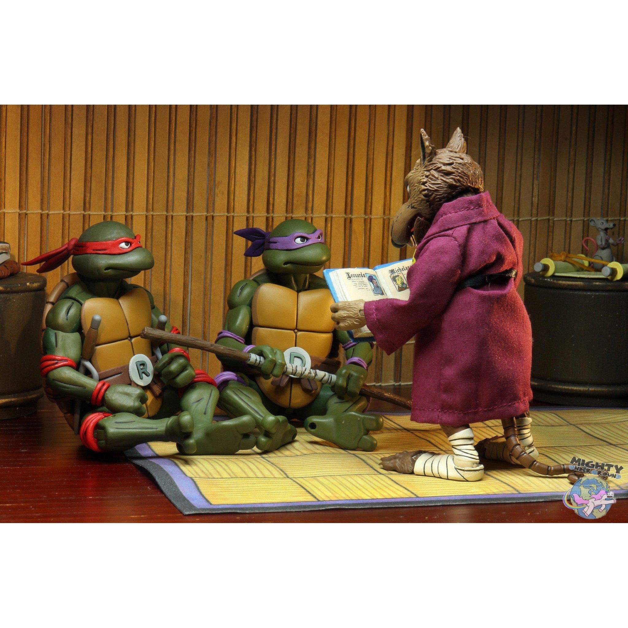 TMNT: Splinter & Baxter 2-Pack-Actionfiguren-NECA-Mighty Underground
