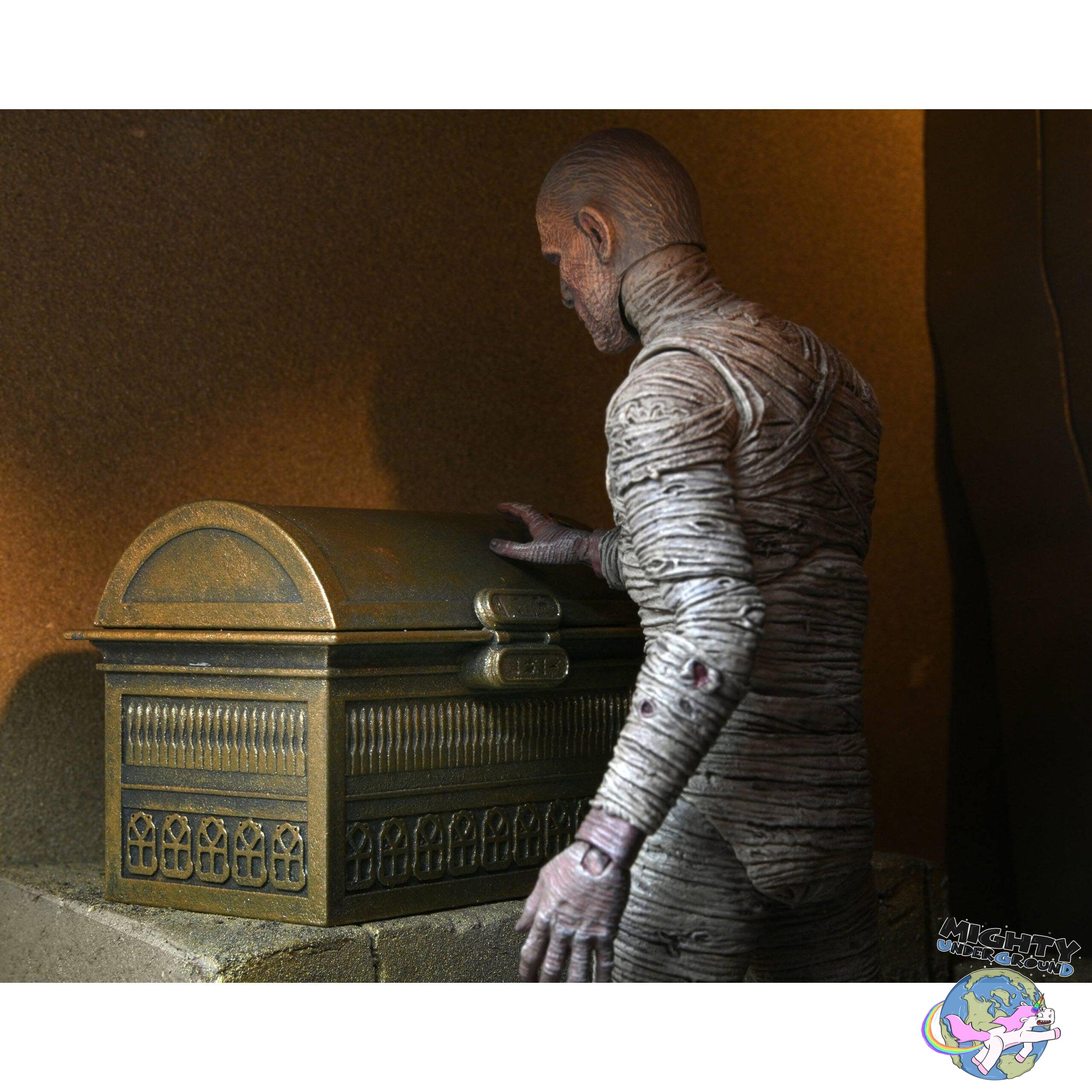 Universal Monsters: The Mummy Accessory Pack-Actionfiguren-NECA-Mighty Underground