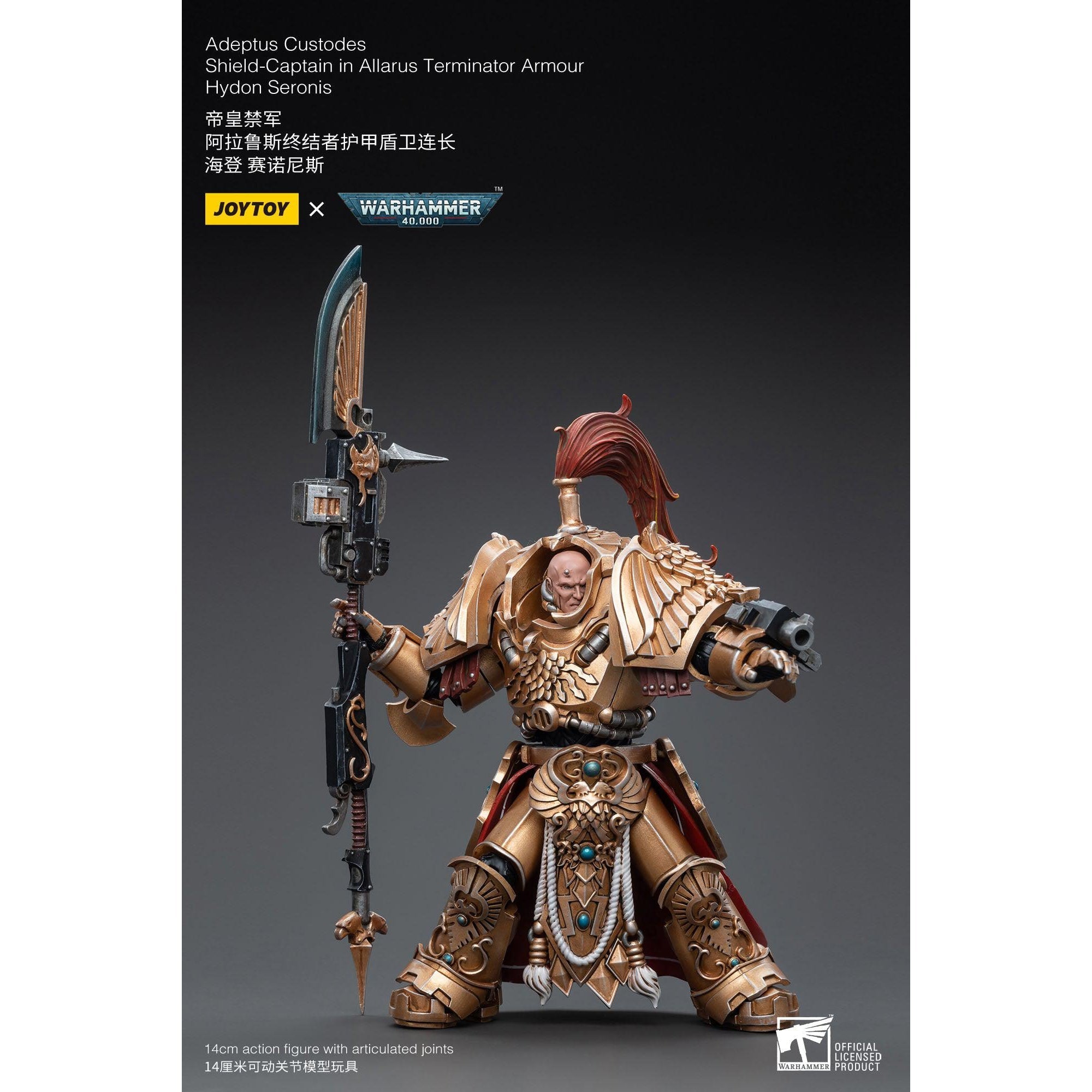 Warhammer 40k: Adeptus Custodes Shield-Captain Hydon Seronis Allarus Terminator Armour - 12 cm-Actionfiguren-JoyToy-Mighty Underground