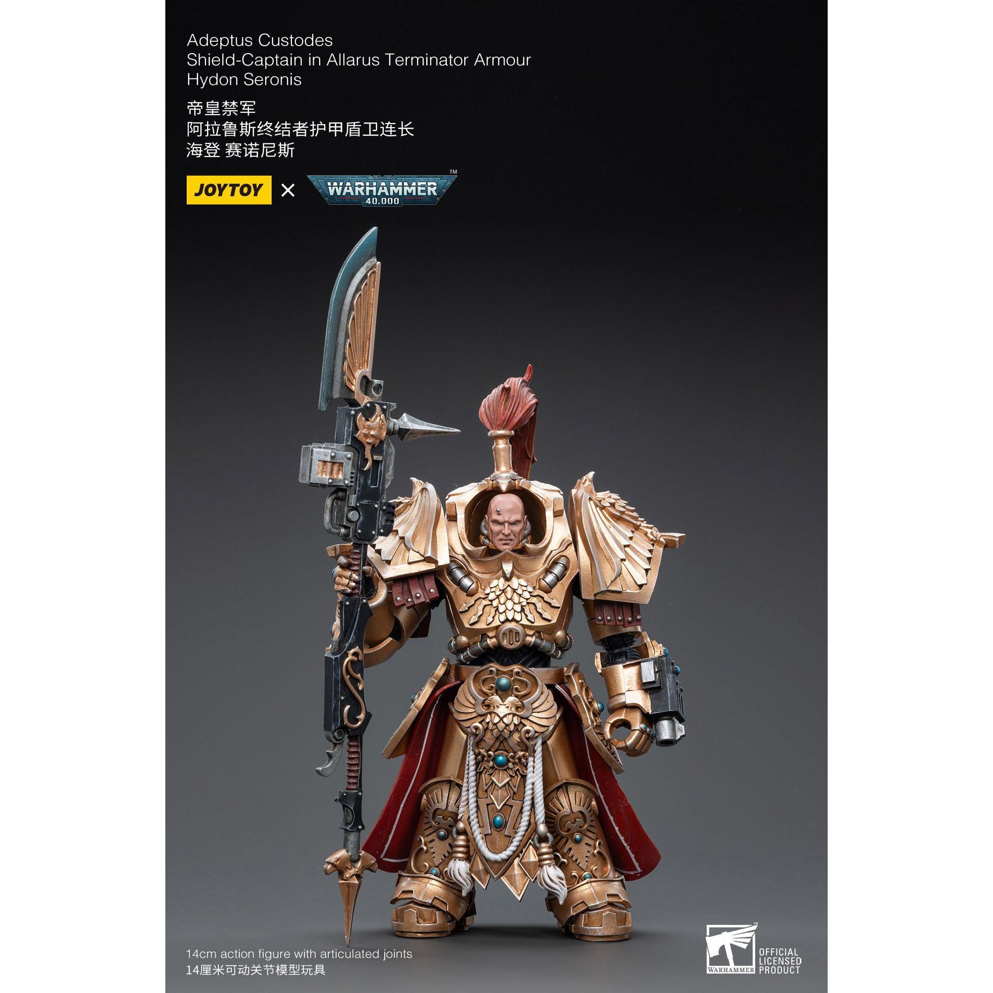 Warhammer 40k: Adeptus Custodes Shield-Captain Hydon Seronis Allarus Terminator Armour - 12 cm-Actionfiguren-JoyToy-Mighty Underground