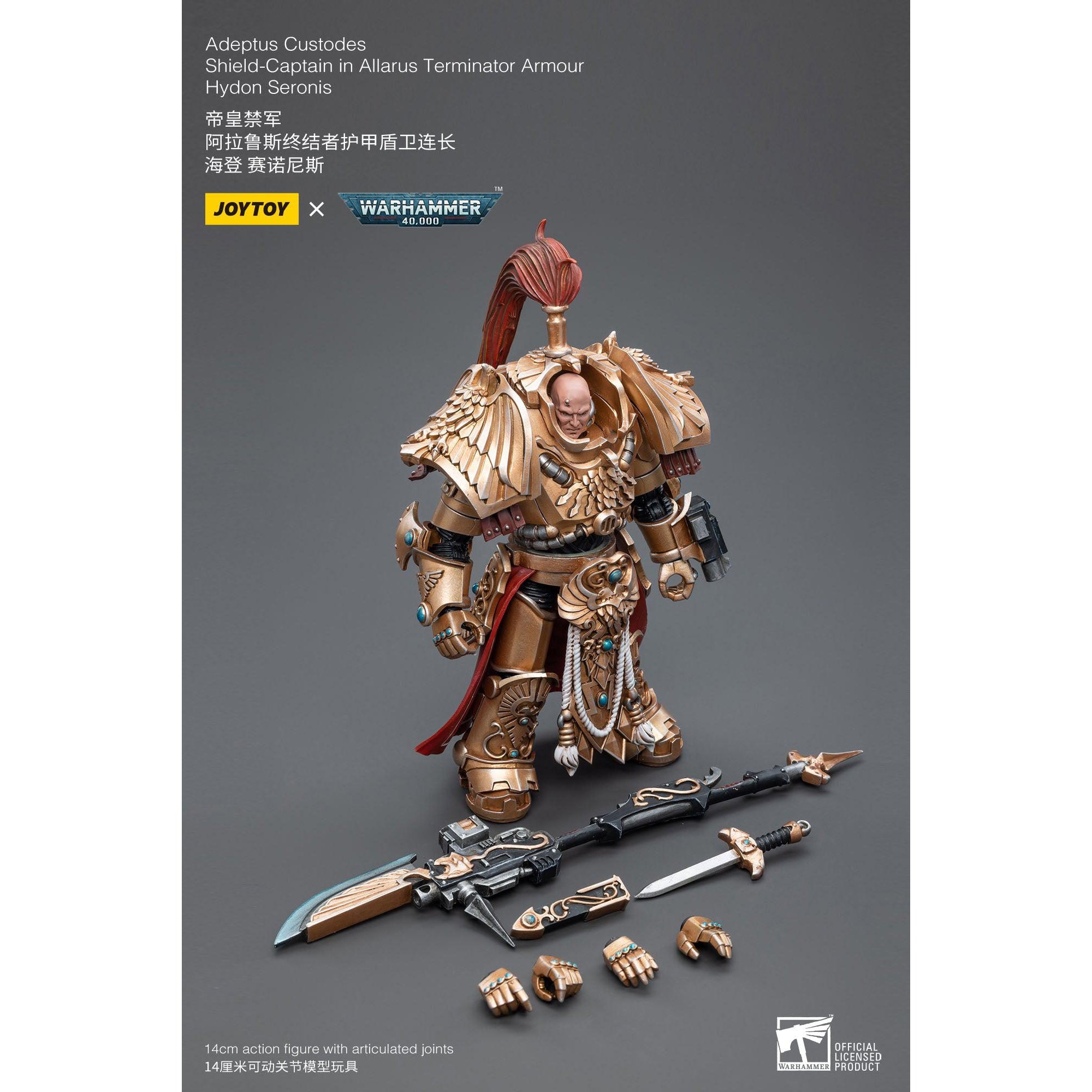 Warhammer 40k: Adeptus Custodes Shield-Captain Hydon Seronis Allarus Terminator Armour - 12 cm-Actionfiguren-JoyToy-Mighty Underground