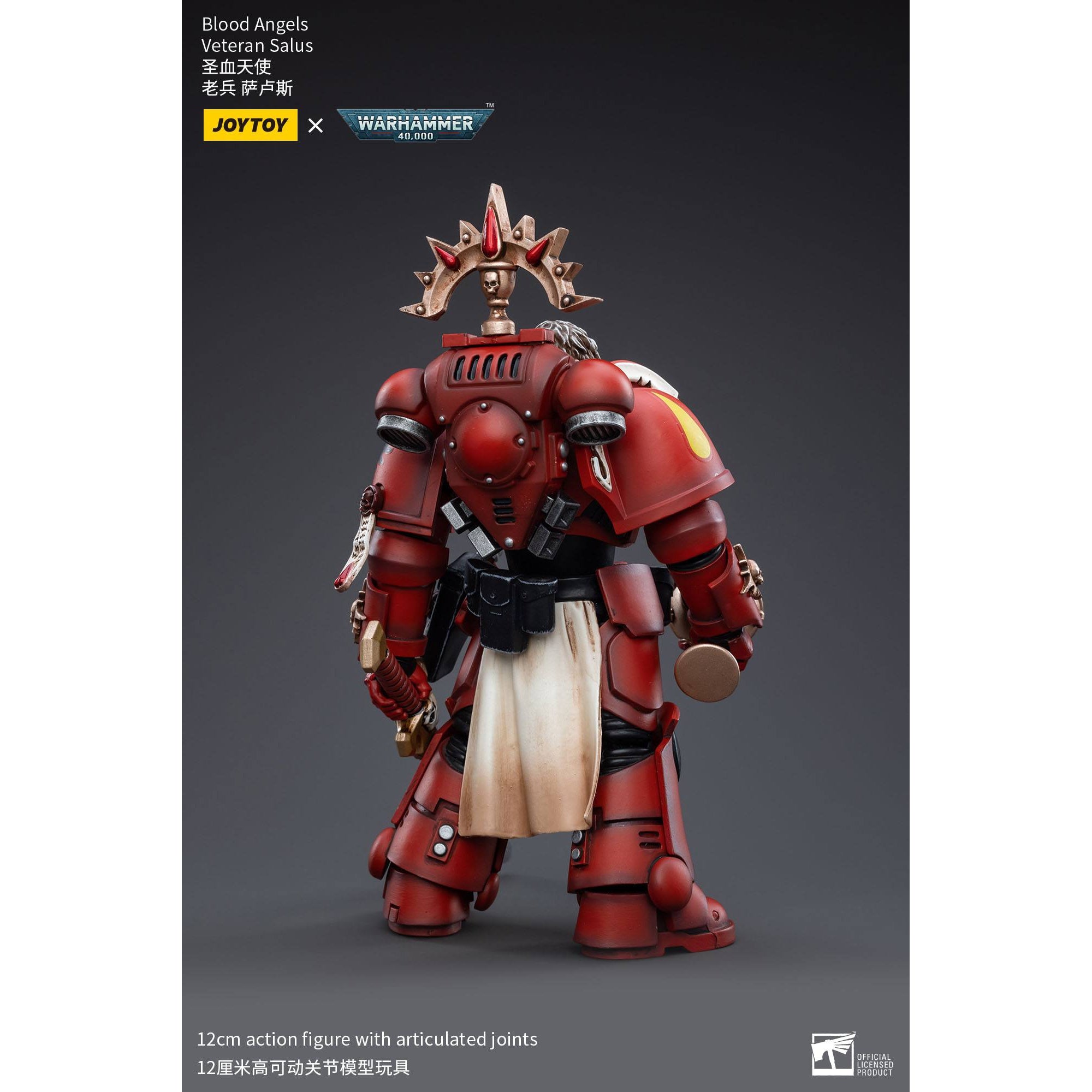 Warhammer 40k: Blood Angels Veteran Salus - 12 cm-Actionfiguren-JoyToy-Mighty Underground