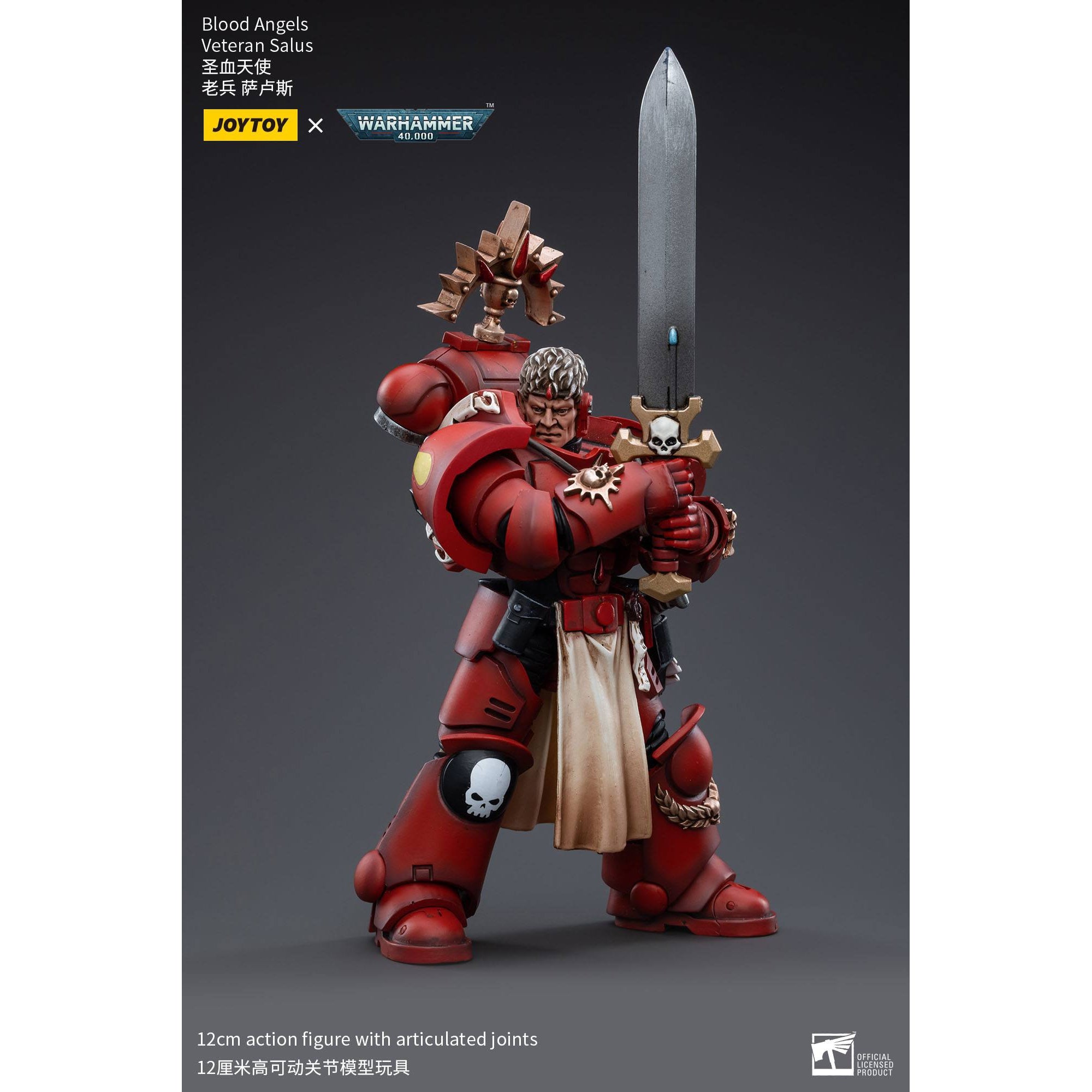 Warhammer 40k: Blood Angels Veteran Salus - 12 cm-Actionfiguren-JoyToy-Mighty Underground
