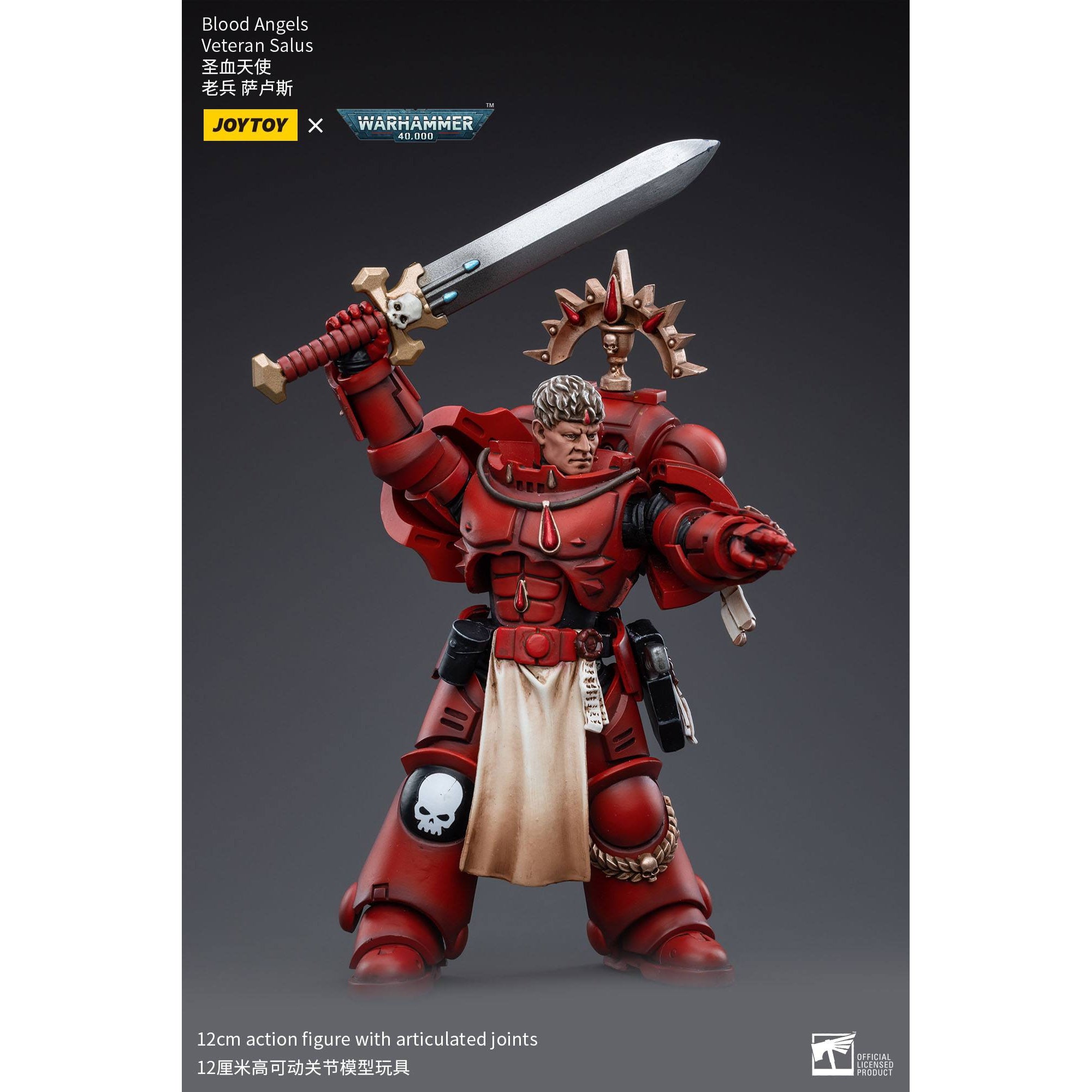 Warhammer 40k: Blood Angels Veteran Salus - 12 cm-Actionfiguren-JoyToy-Mighty Underground
