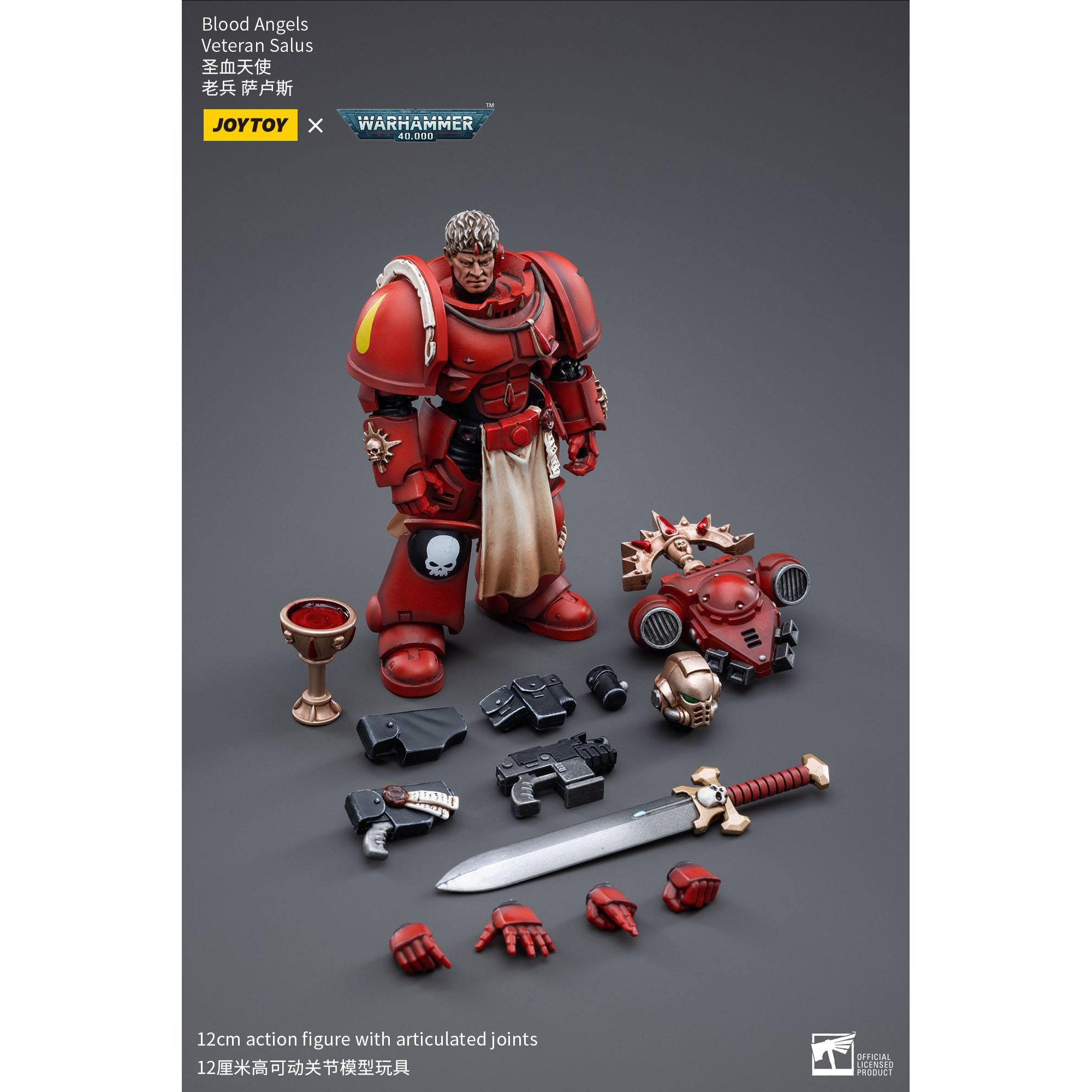 Warhammer 40k: Blood Angels Veteran Salus - 12 cm-Actionfiguren-JoyToy-Mighty Underground