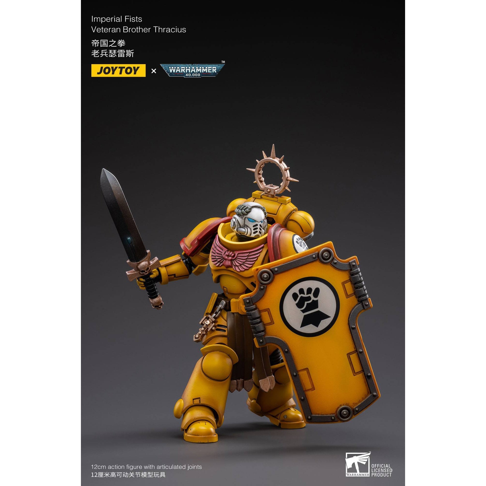 Warhammer 40k: Imperial Fists Veteran Brother Thracius - 12 cm-Actionfiguren-JoyToy-Mighty Underground