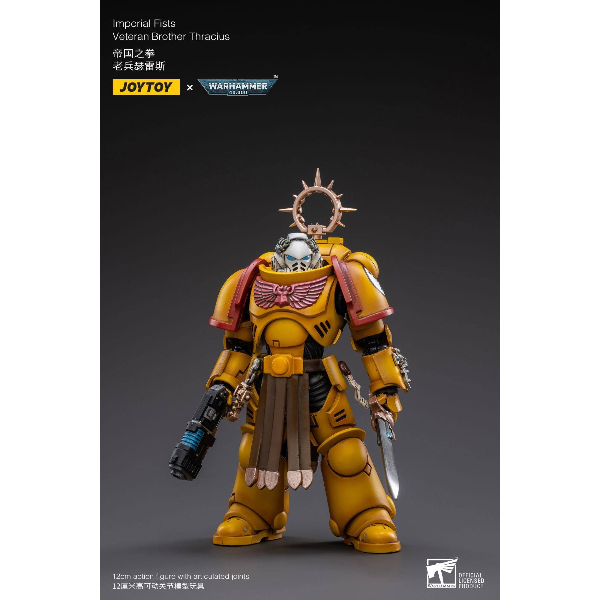 Warhammer 40k: Imperial Fists Veteran Brother Thracius - 12 cm-Actionfiguren-JoyToy-Mighty Underground