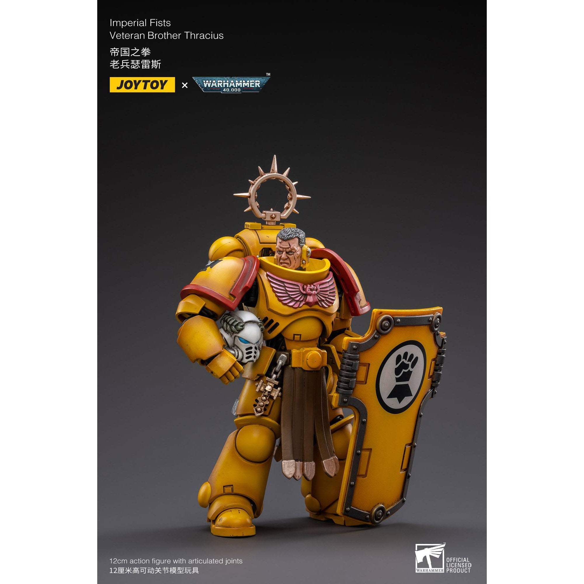 Warhammer 40k: Imperial Fists Veteran Brother Thracius - 12 cm-Actionfiguren-JoyToy-Mighty Underground