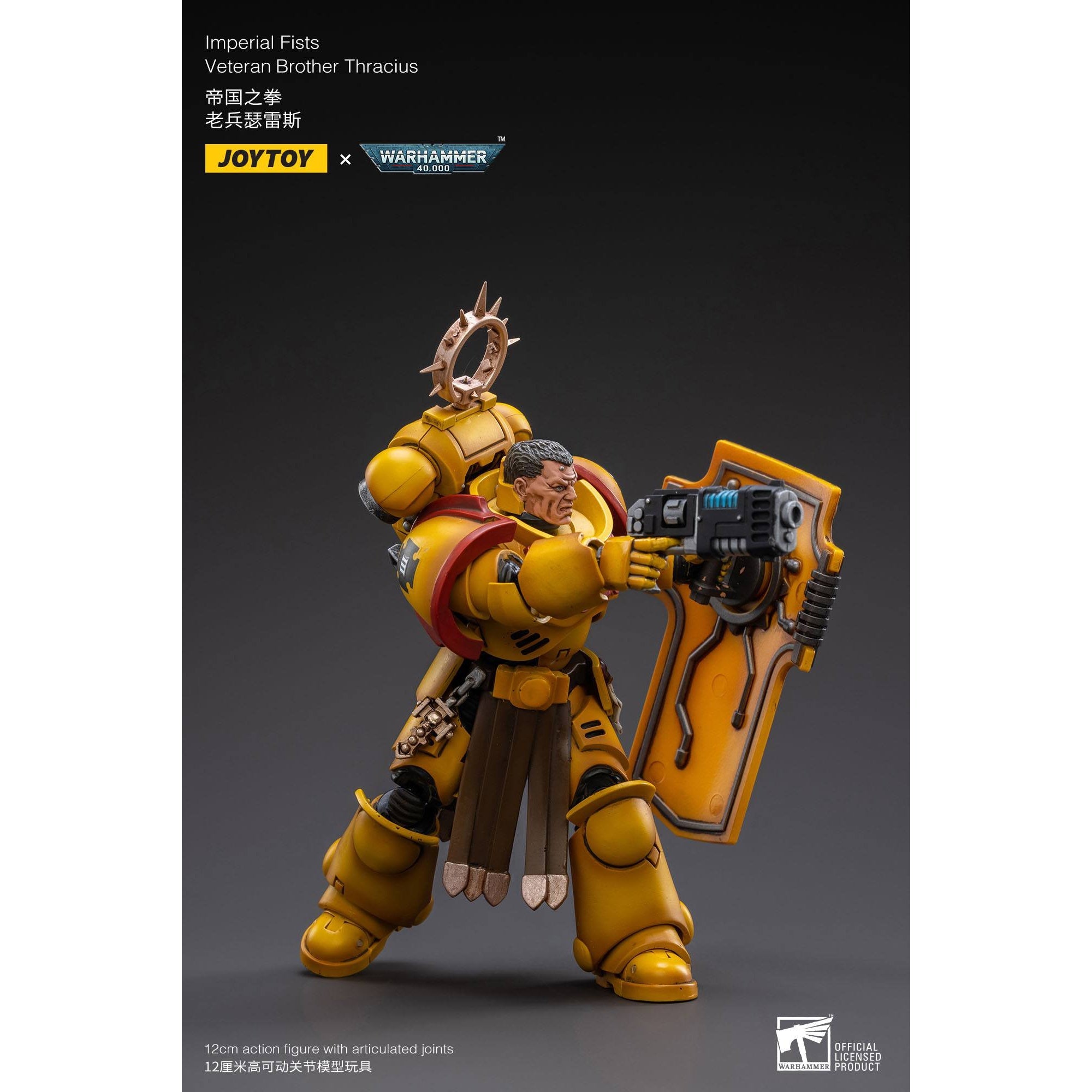 Warhammer 40k: Imperial Fists Veteran Brother Thracius - 12 cm-Actionfiguren-JoyToy-Mighty Underground