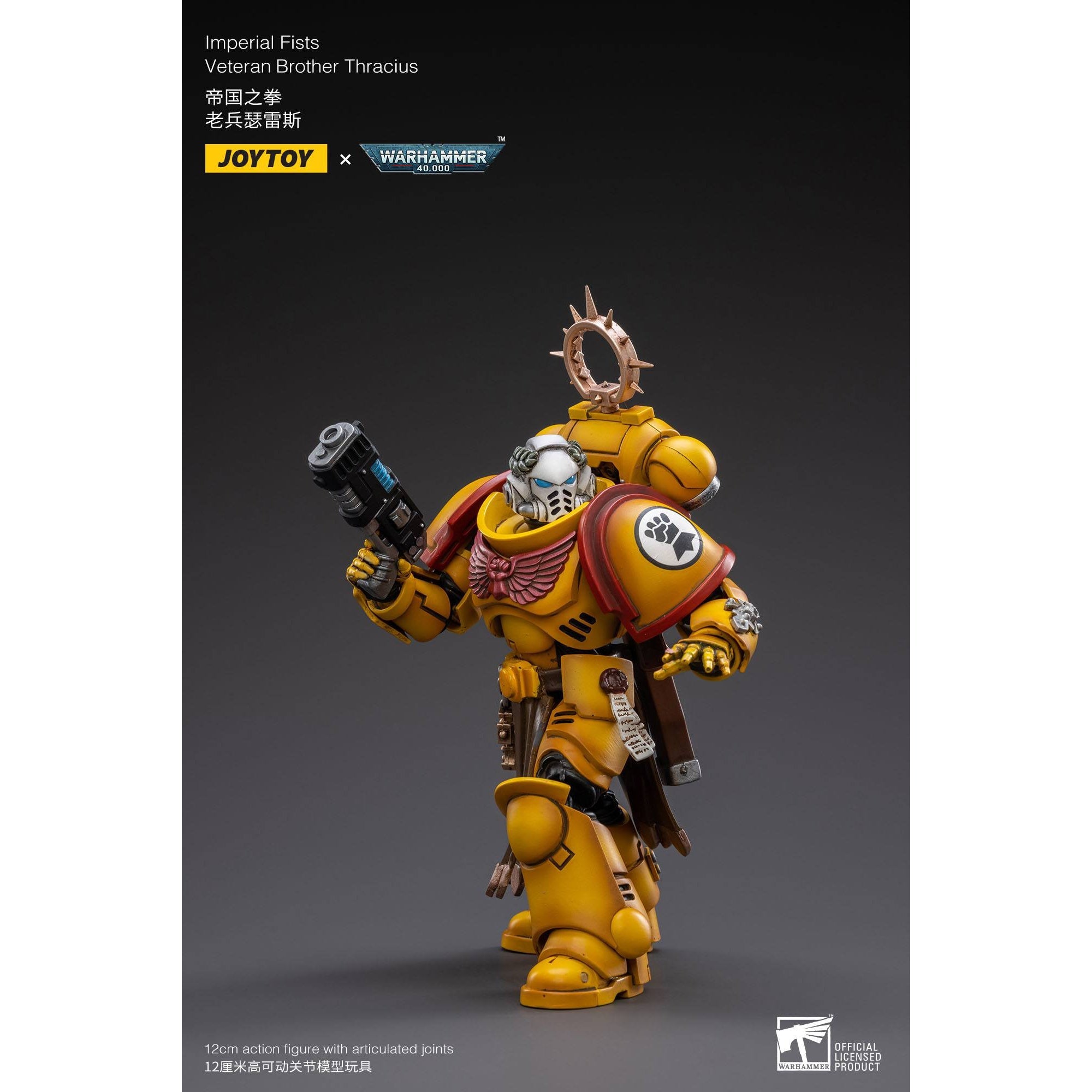 Warhammer 40k: Imperial Fists Veteran Brother Thracius - 12 cm-Actionfiguren-JoyToy-Mighty Underground