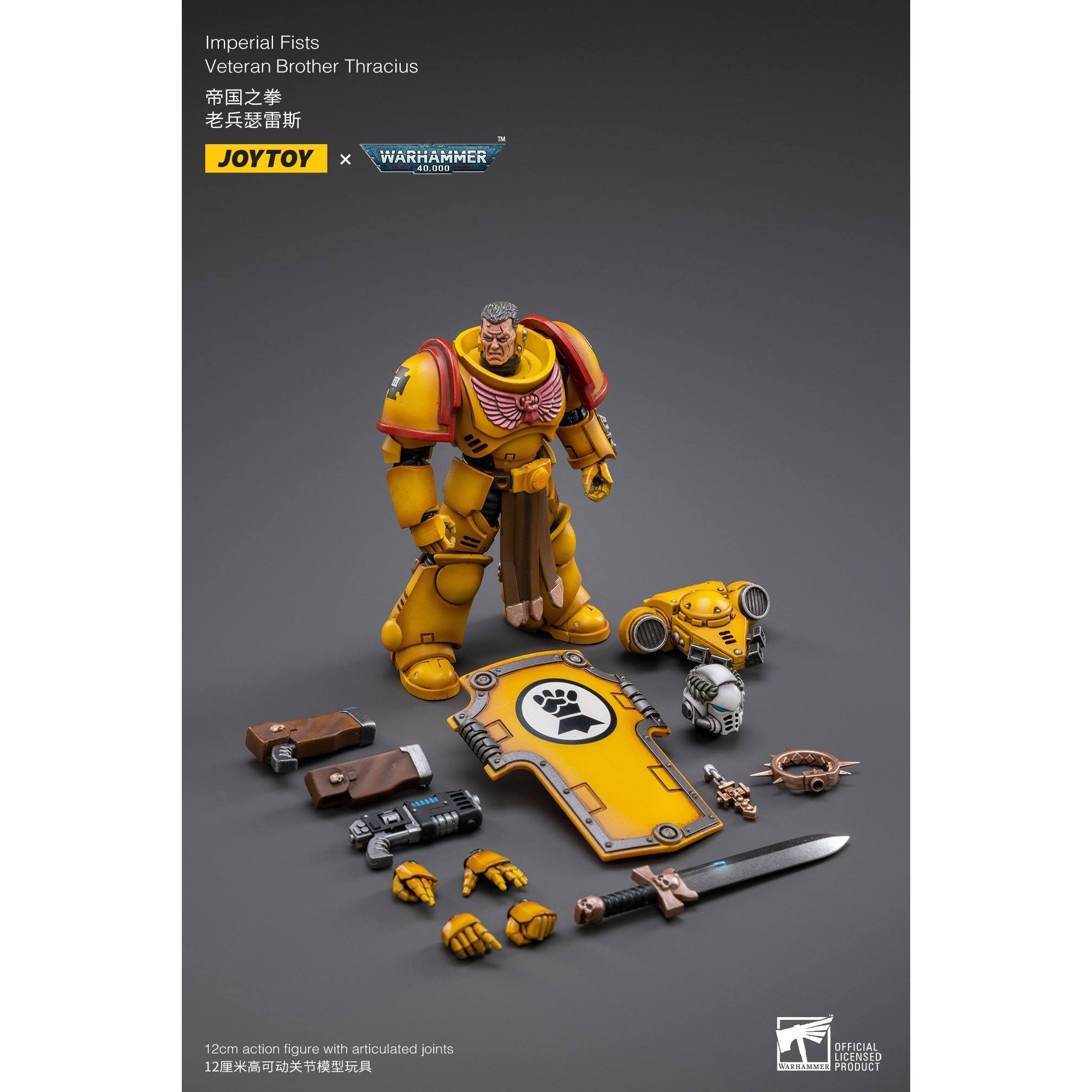 Warhammer 40k: Imperial Fists Veteran Brother Thracius - 12 cm-Actionfiguren-JoyToy-Mighty Underground