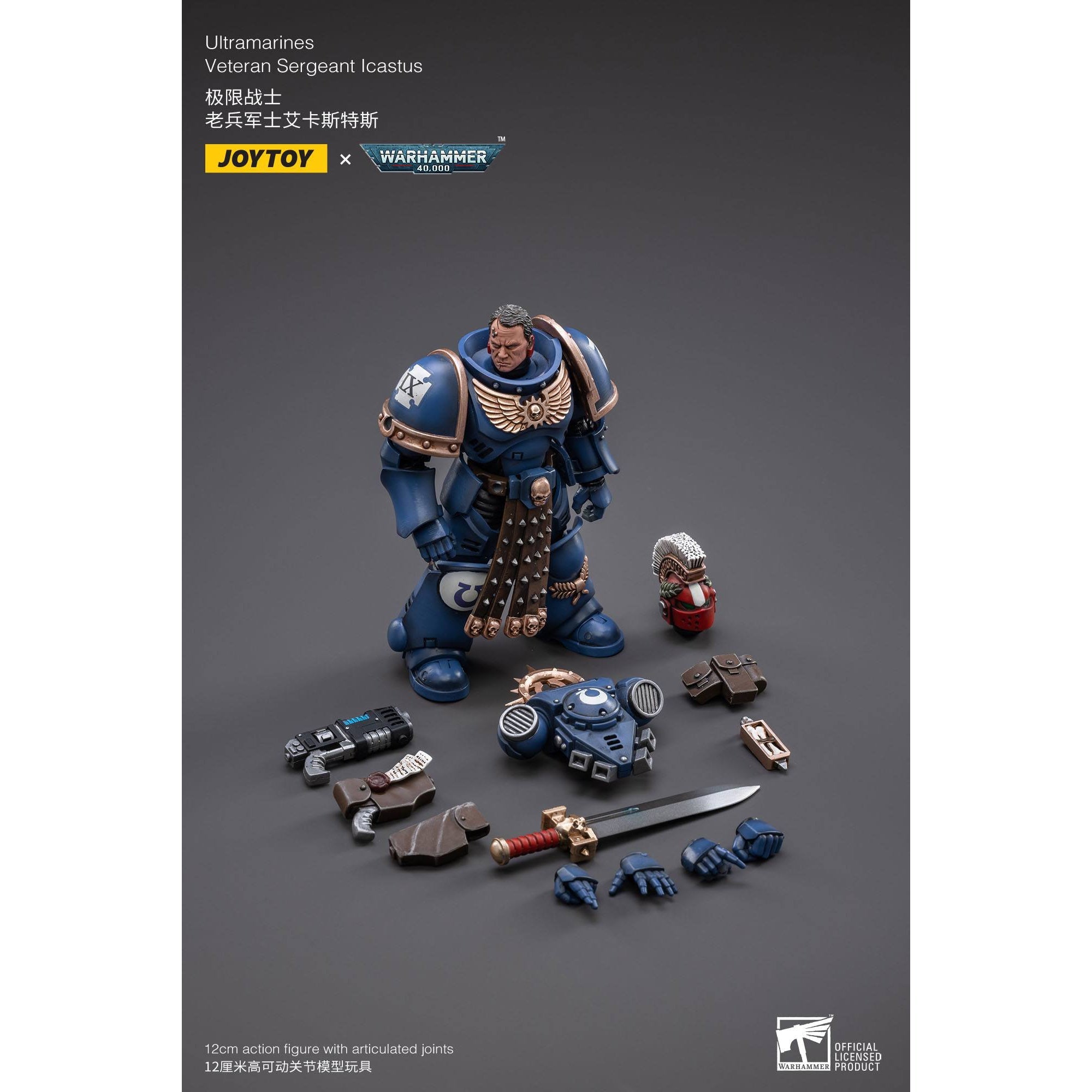 Warhammer 40k: Ultramarines Veteran Sergeant Icastus - 12 cm-Actionfiguren-JoyToy-Mighty Underground