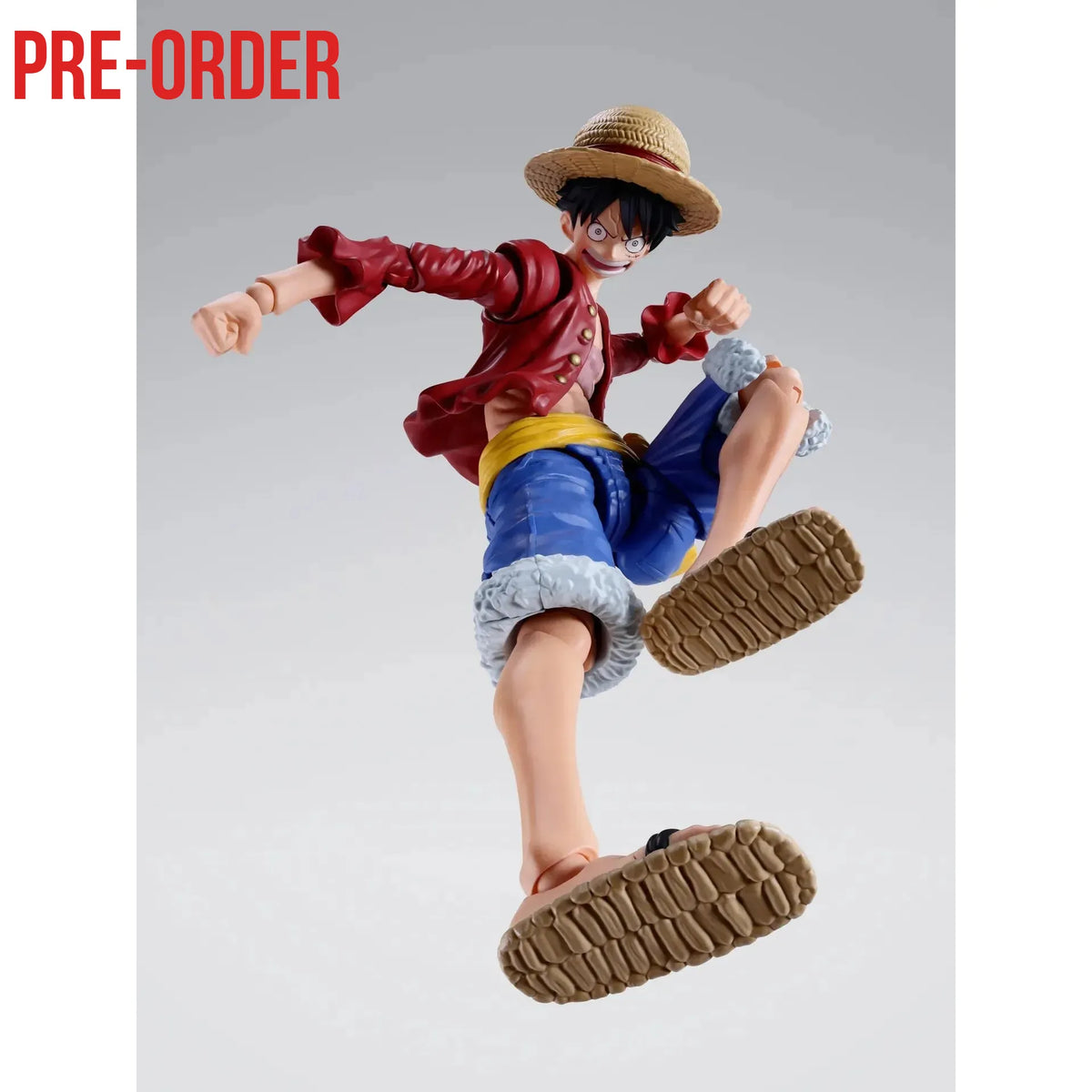 One Piece: Monkey. D. Luffy (Two Years Later)