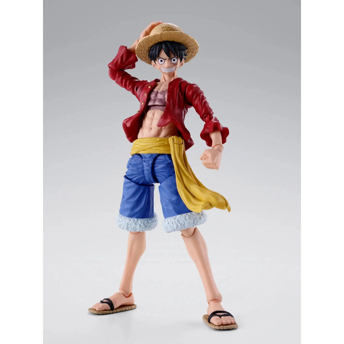 One Piece: Monkey. D. Luffy (Two Years Later)