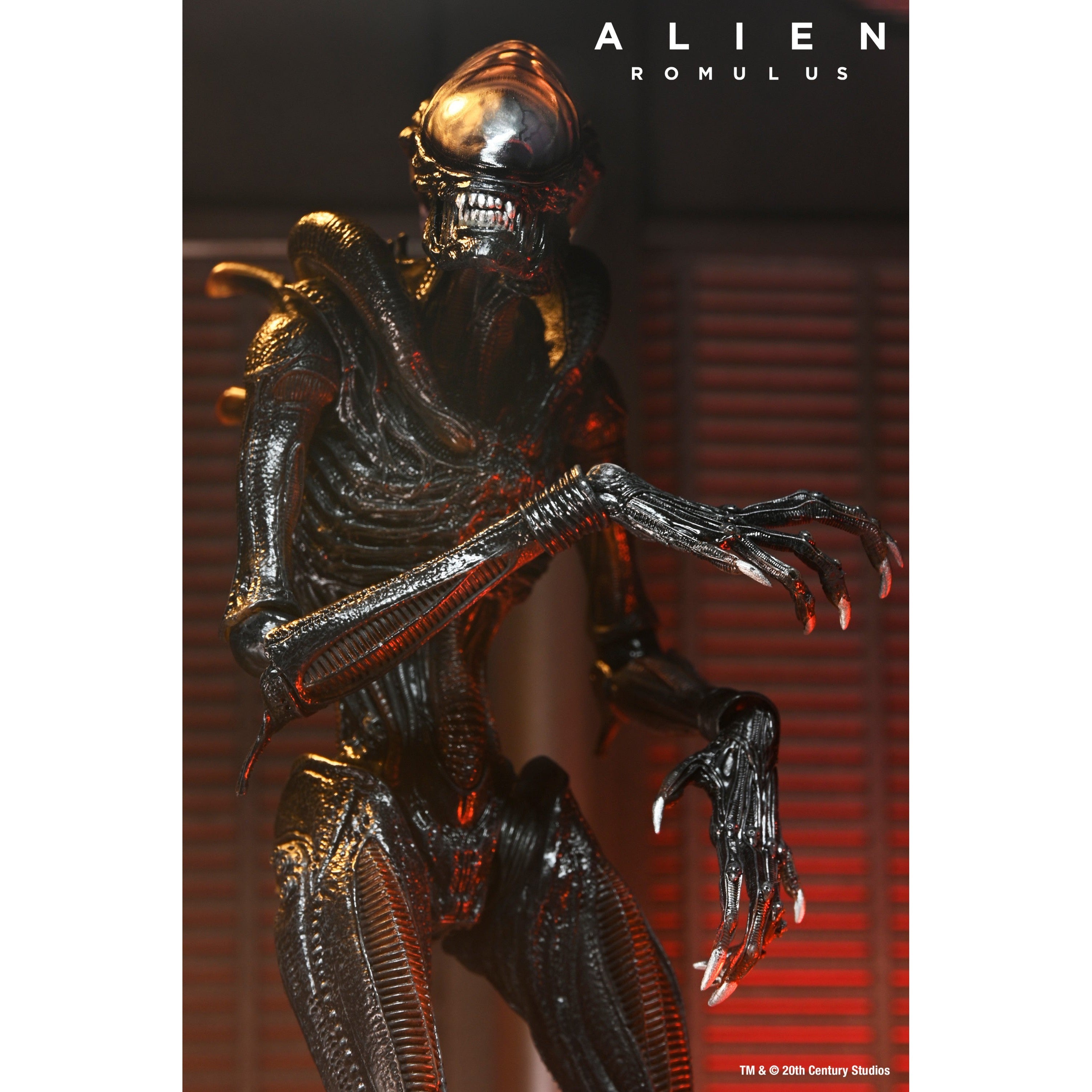 Alien Romulus: Ultimate Scorched Xenomorph-Actionfiguren-NECA-Mighty Underground