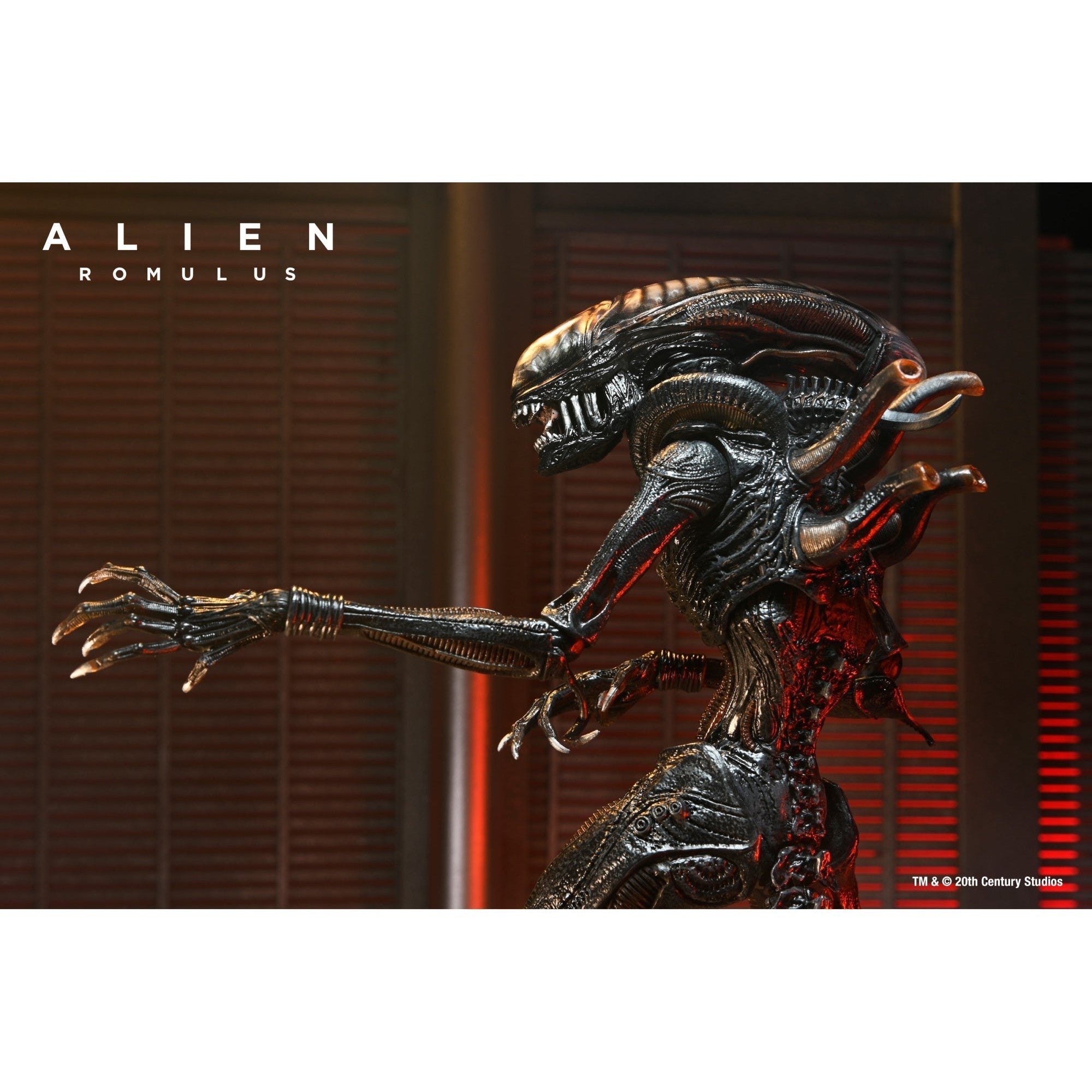 Alien Romulus: Ultimate Scorched Xenomorph-Actionfiguren-NECA-Mighty Underground