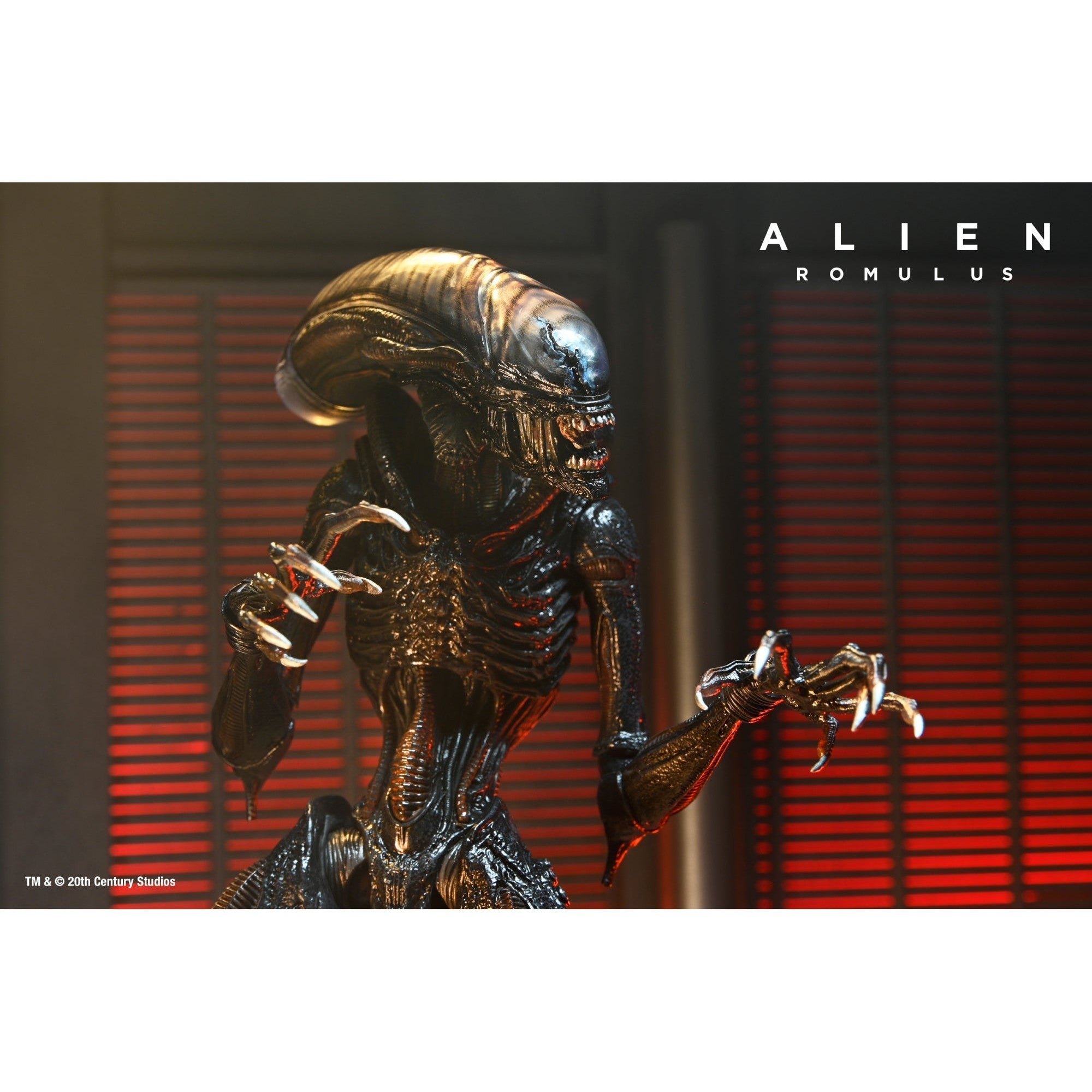 Alien Romulus: Ultimate Scorched Xenomorph-Actionfiguren-NECA-Mighty Underground