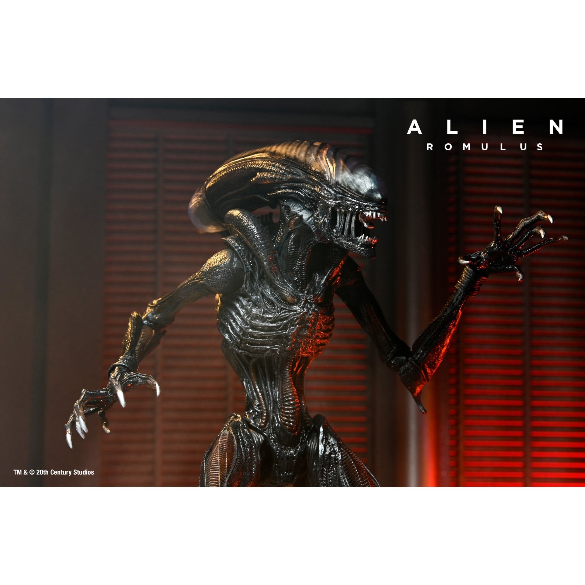 Alien Romulus: Ultimate Scorched Xenomorph-Actionfiguren-NECA-Mighty Underground