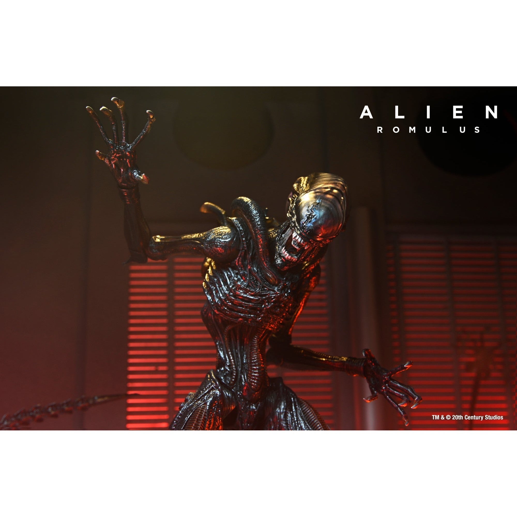 Alien Romulus: Ultimate Scorched Xenomorph-Actionfiguren-NECA-Mighty Underground