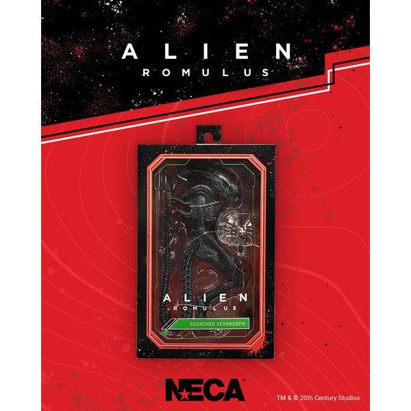 Alien Romulus: Ultimate Scorched Xenomorph-Actionfiguren-NECA-Mighty Underground