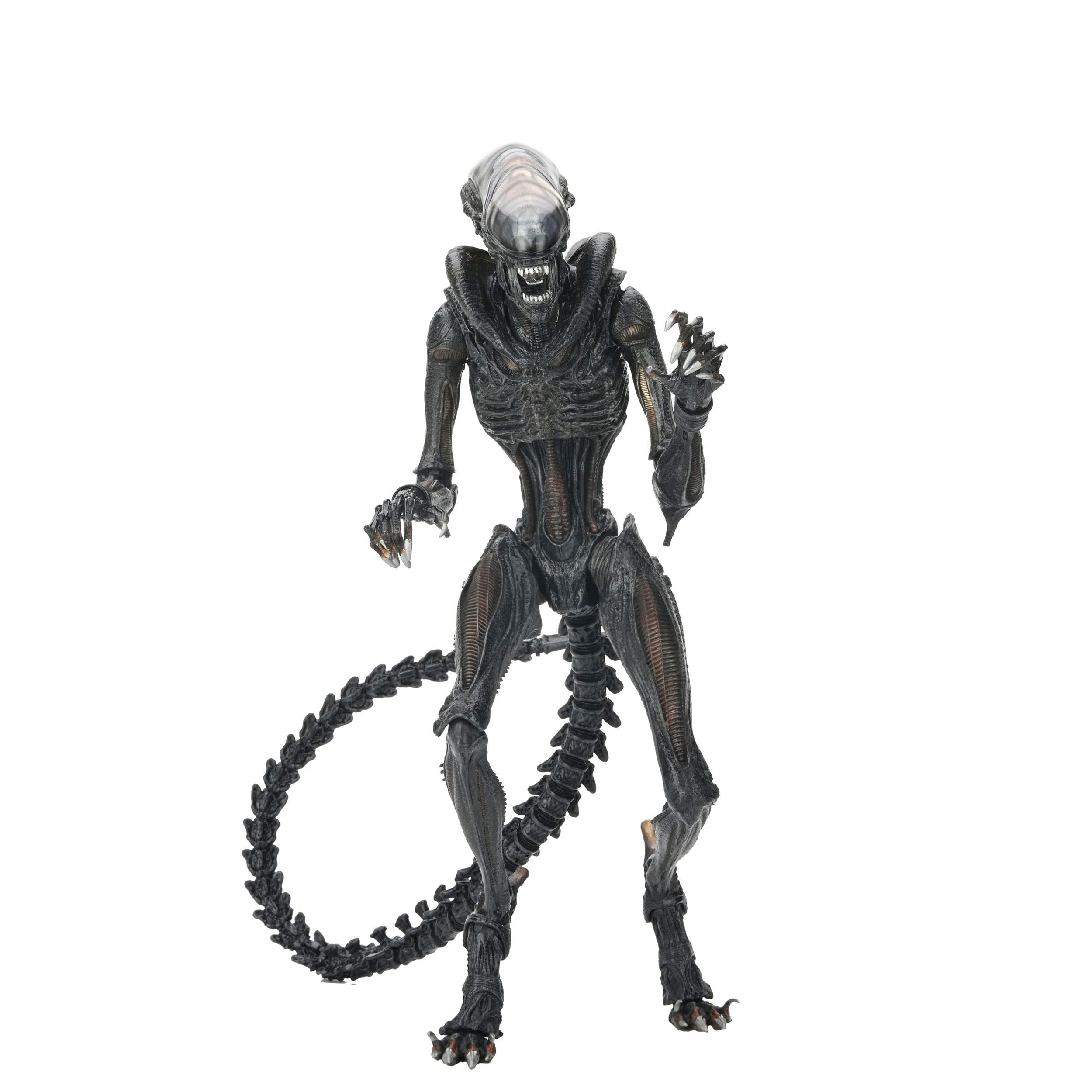 Alien Romulus: Ultimate Scorched Xenomorph-Actionfiguren-NECA-Mighty Underground