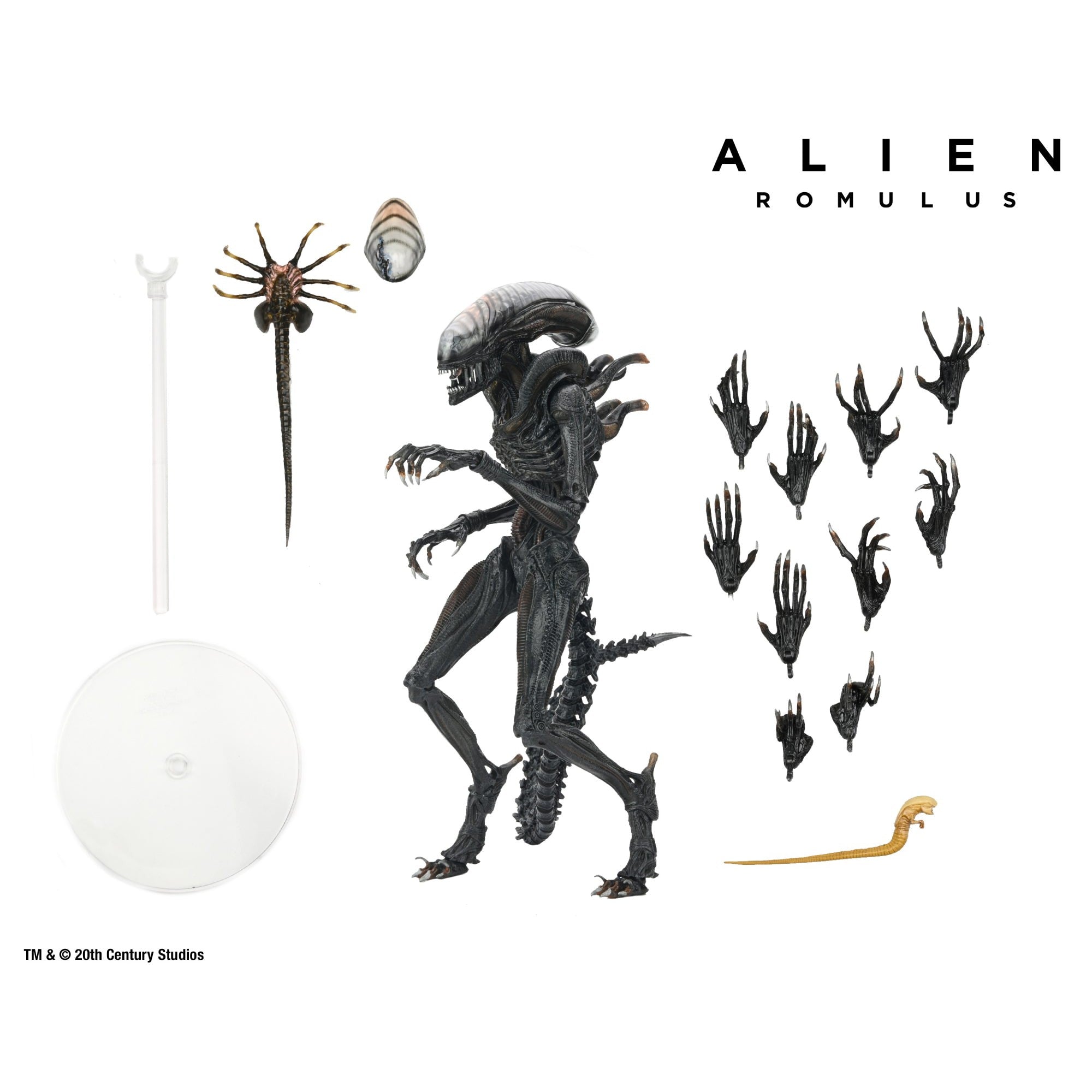 Alien Romulus: Ultimate Scorched Xenomorph-Actionfiguren-NECA-Mighty Underground