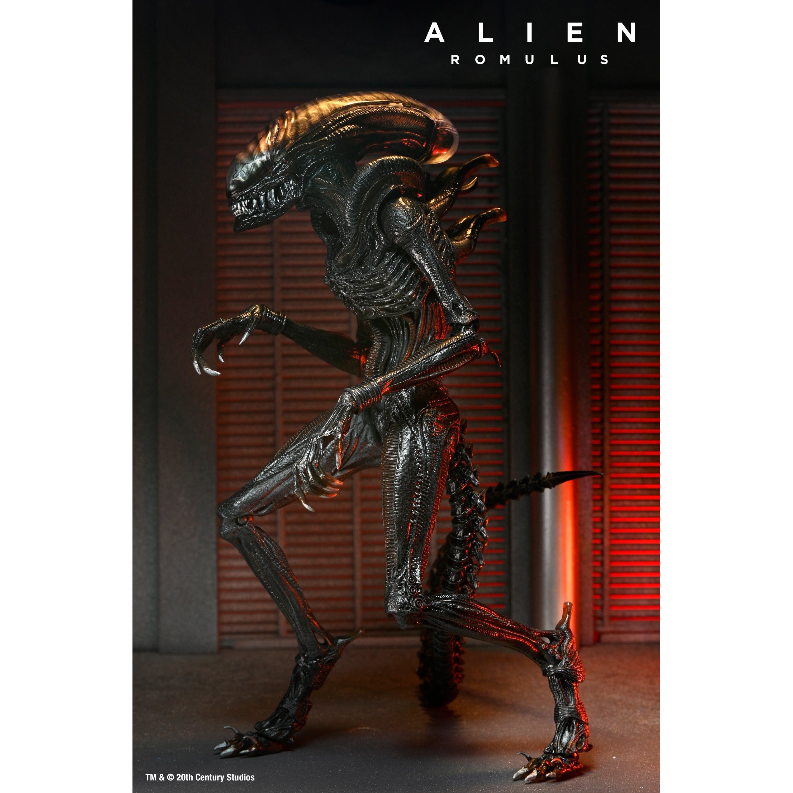 Alien Romulus: Ultimate Scorched Xenomorph-Actionfiguren-NECA-Mighty Underground