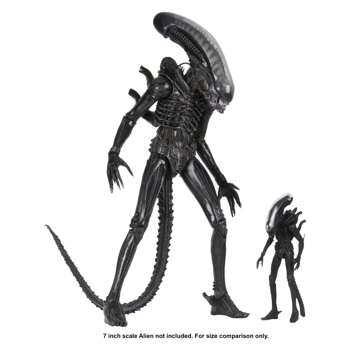 Alien: Ultimate Big Chap (40th Anniversary) 1/4-Actionfiguren-NECA-Mighty Underground