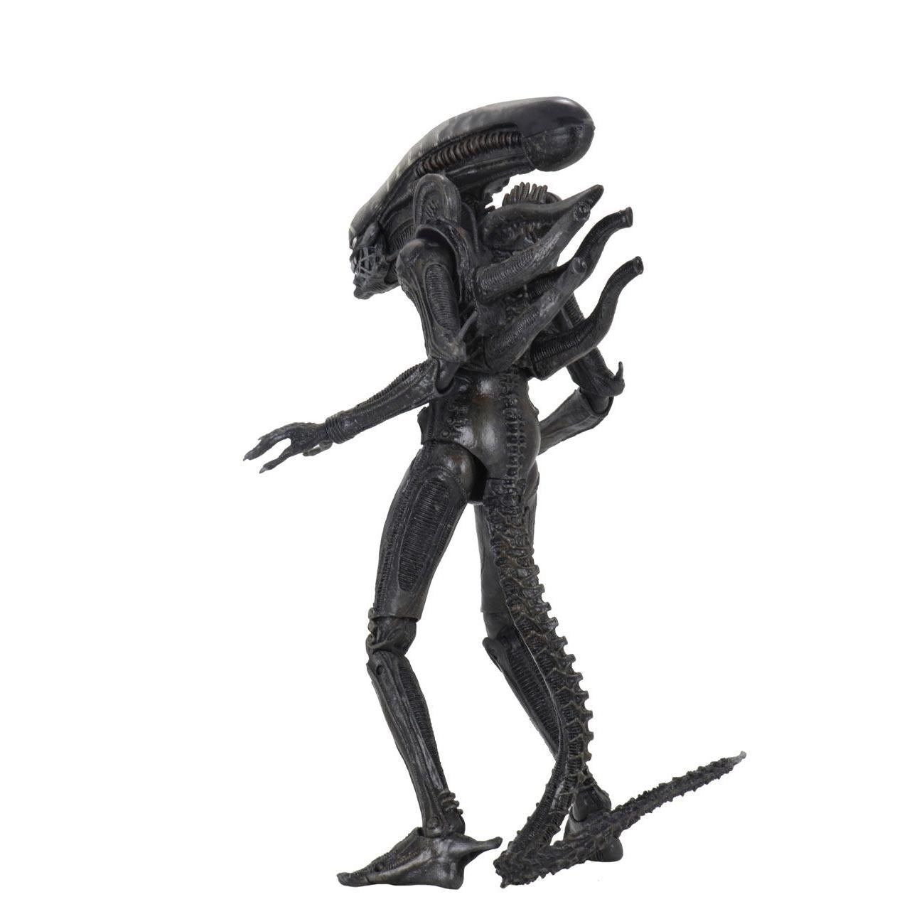 Alien: Ultimate Big Chap (40th Anniversary)-Actionfiguren-NECA-Mighty Underground