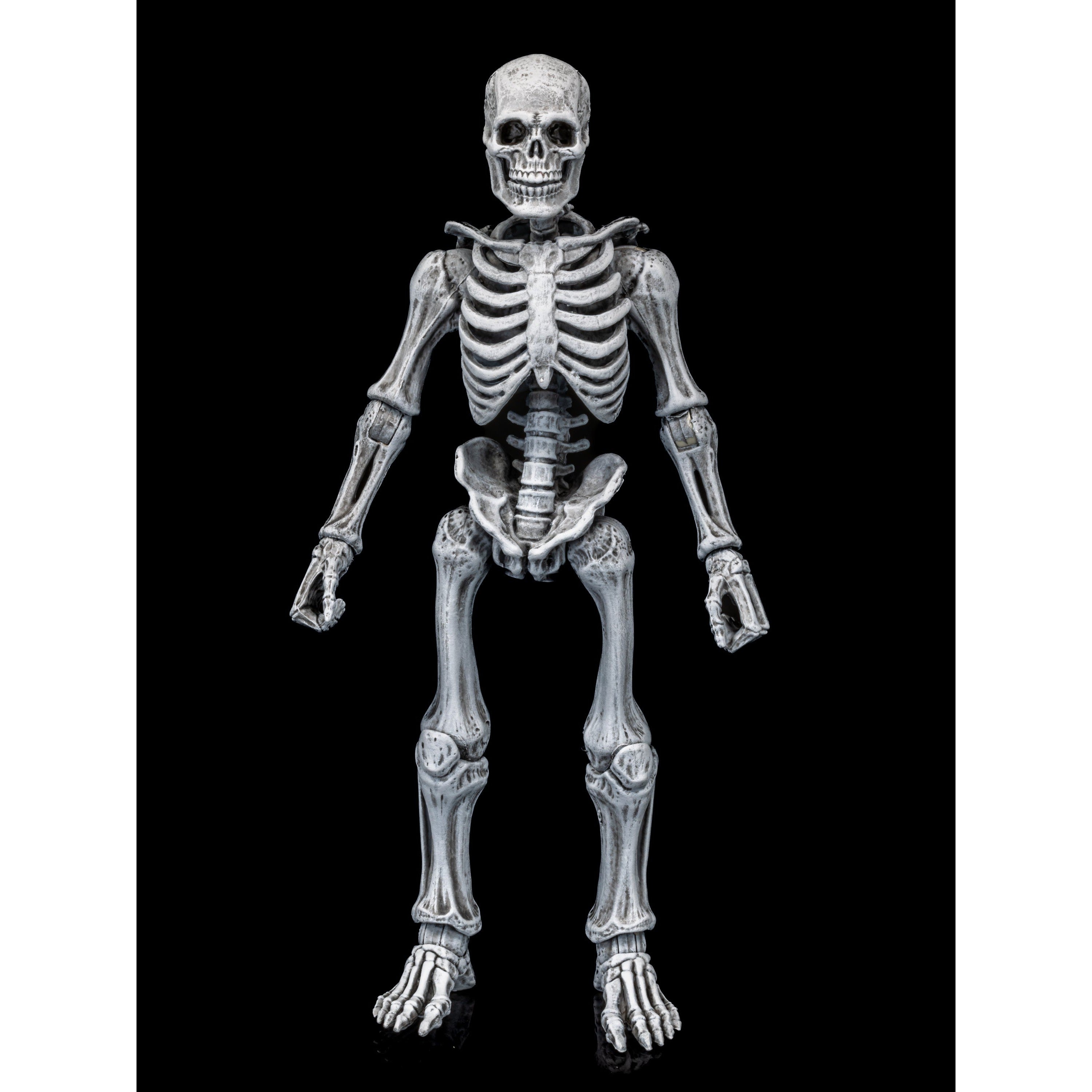 Mythic Legions: Graveyard Skeletons - 4-Pack | Mighty Underground